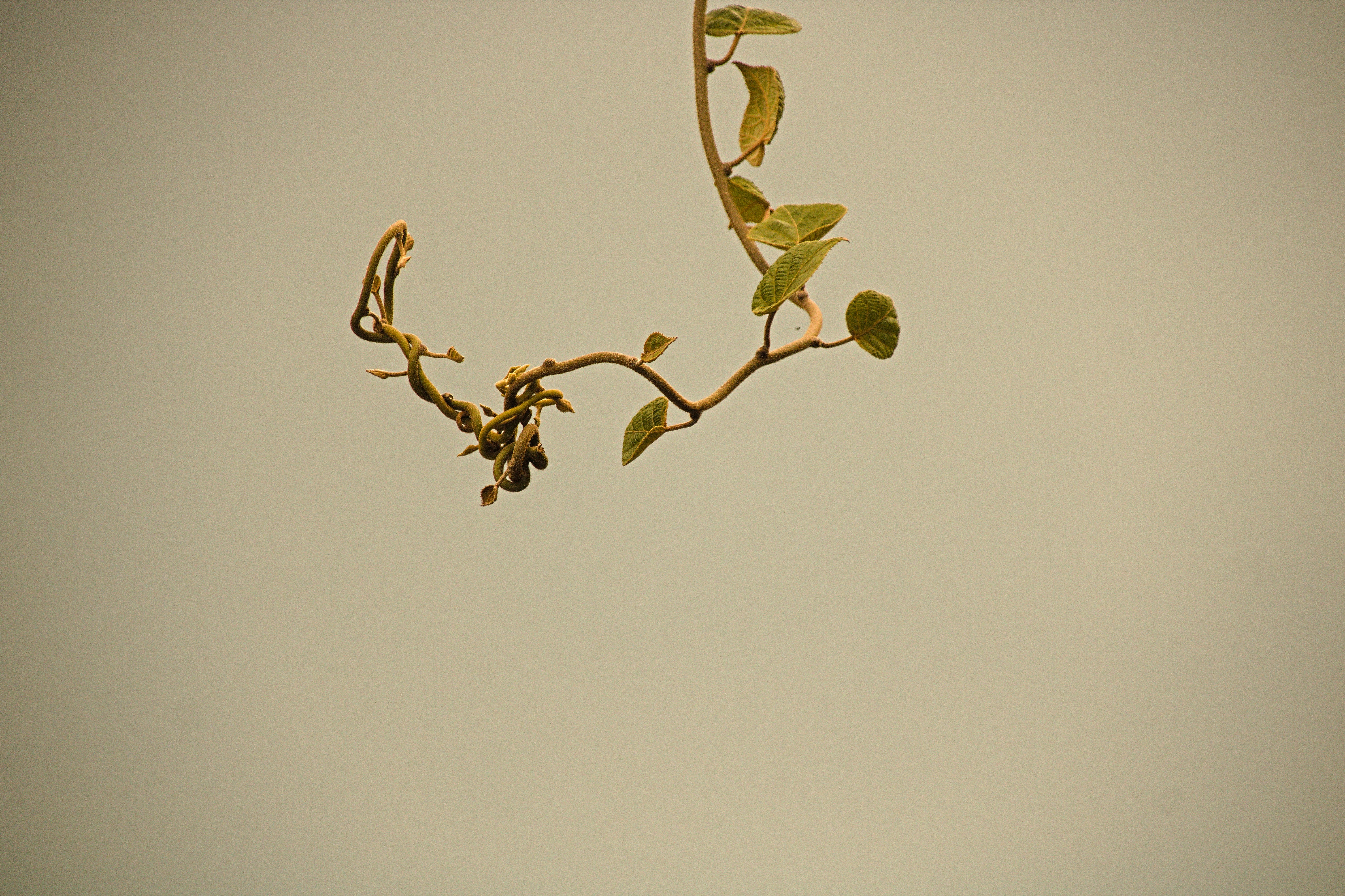 Photo by petetakesphotos