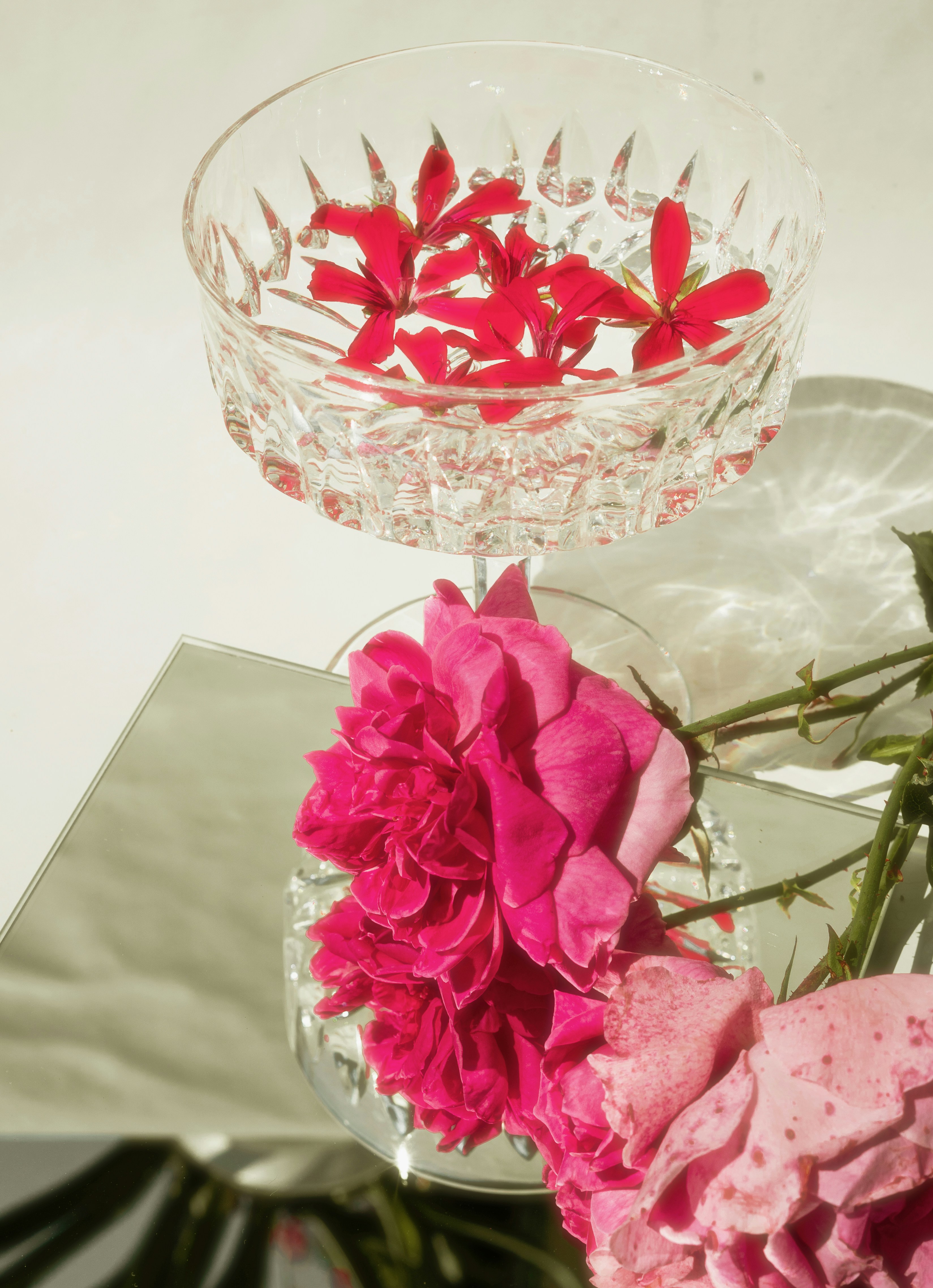 Photo by jelezniac_bianca