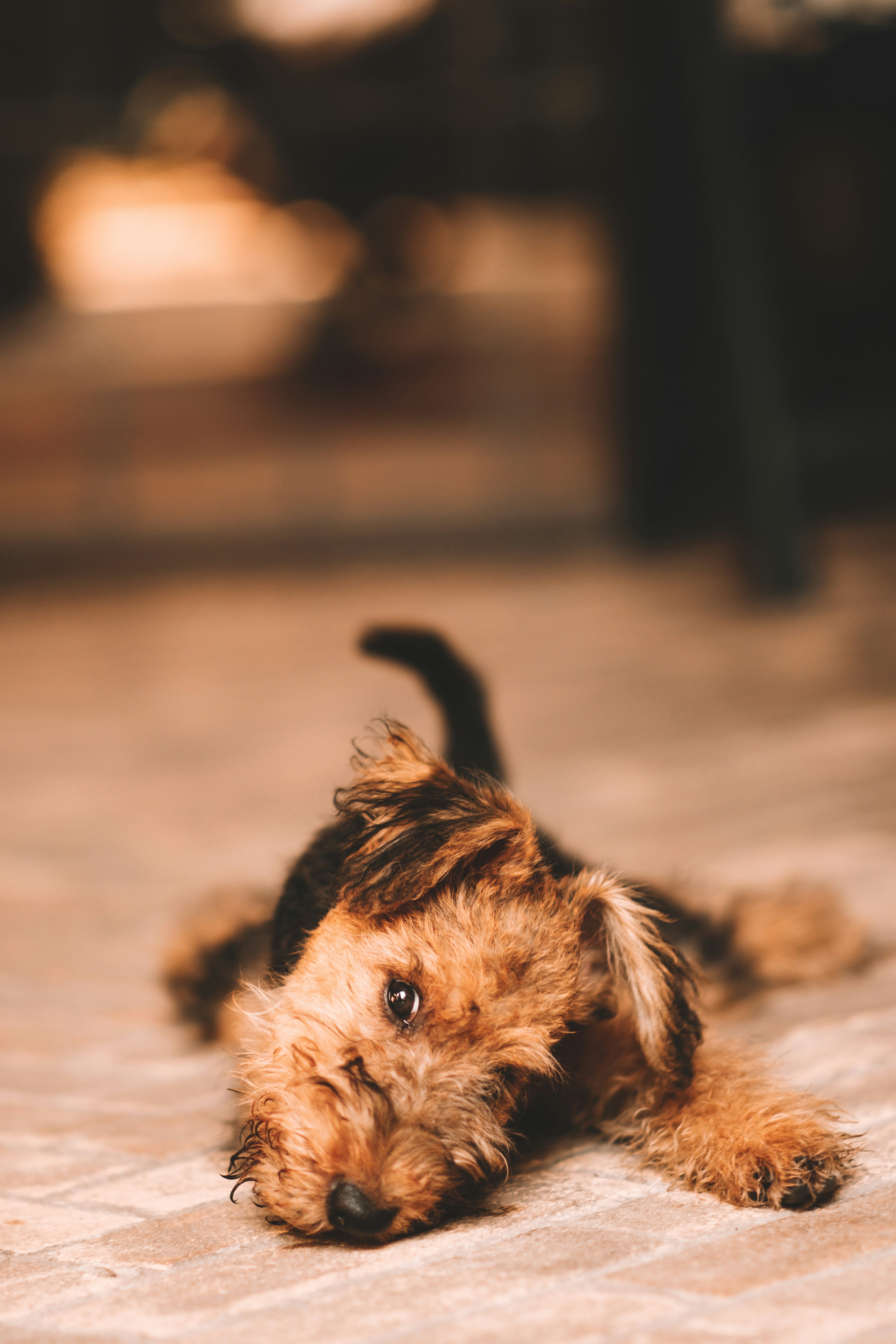 Photo by edoardo_cuoghi_98