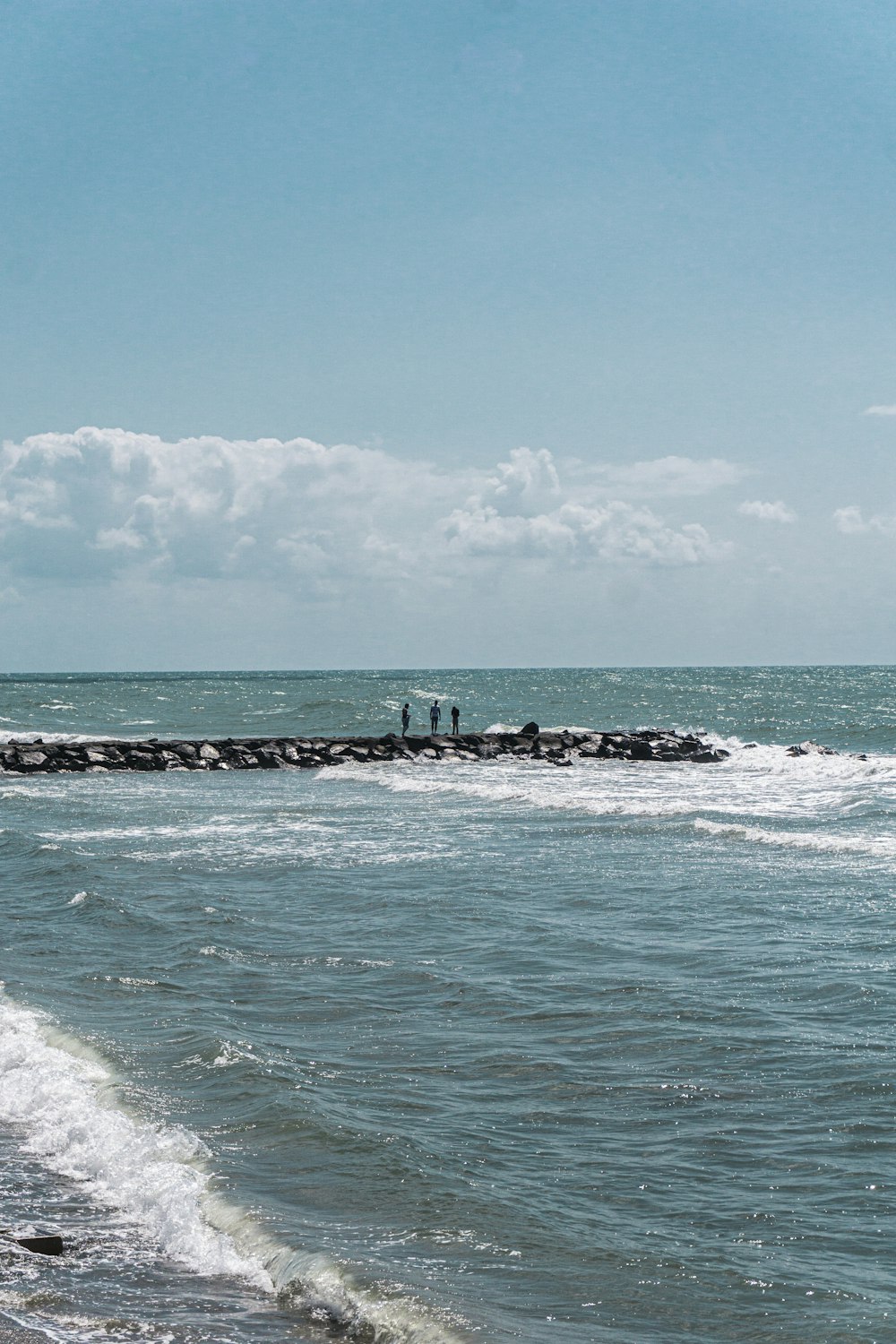 people on beach during daytime