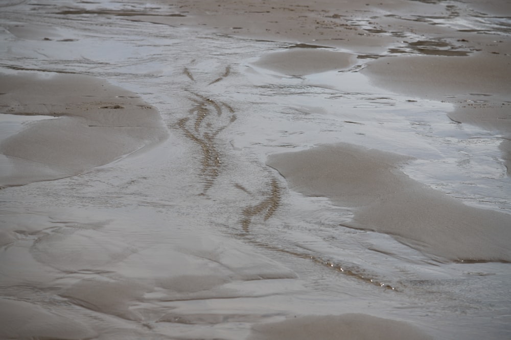 brown sand with water during daytime