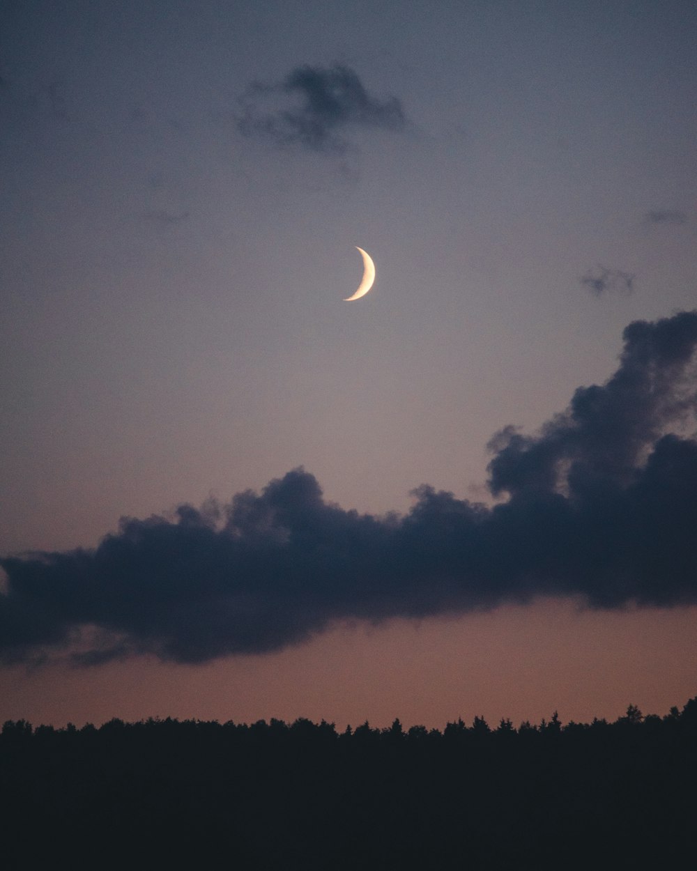 Foto Luna llena sobre las nubes durante la noche – Imagen Naturaleza gratis  en Unsplash