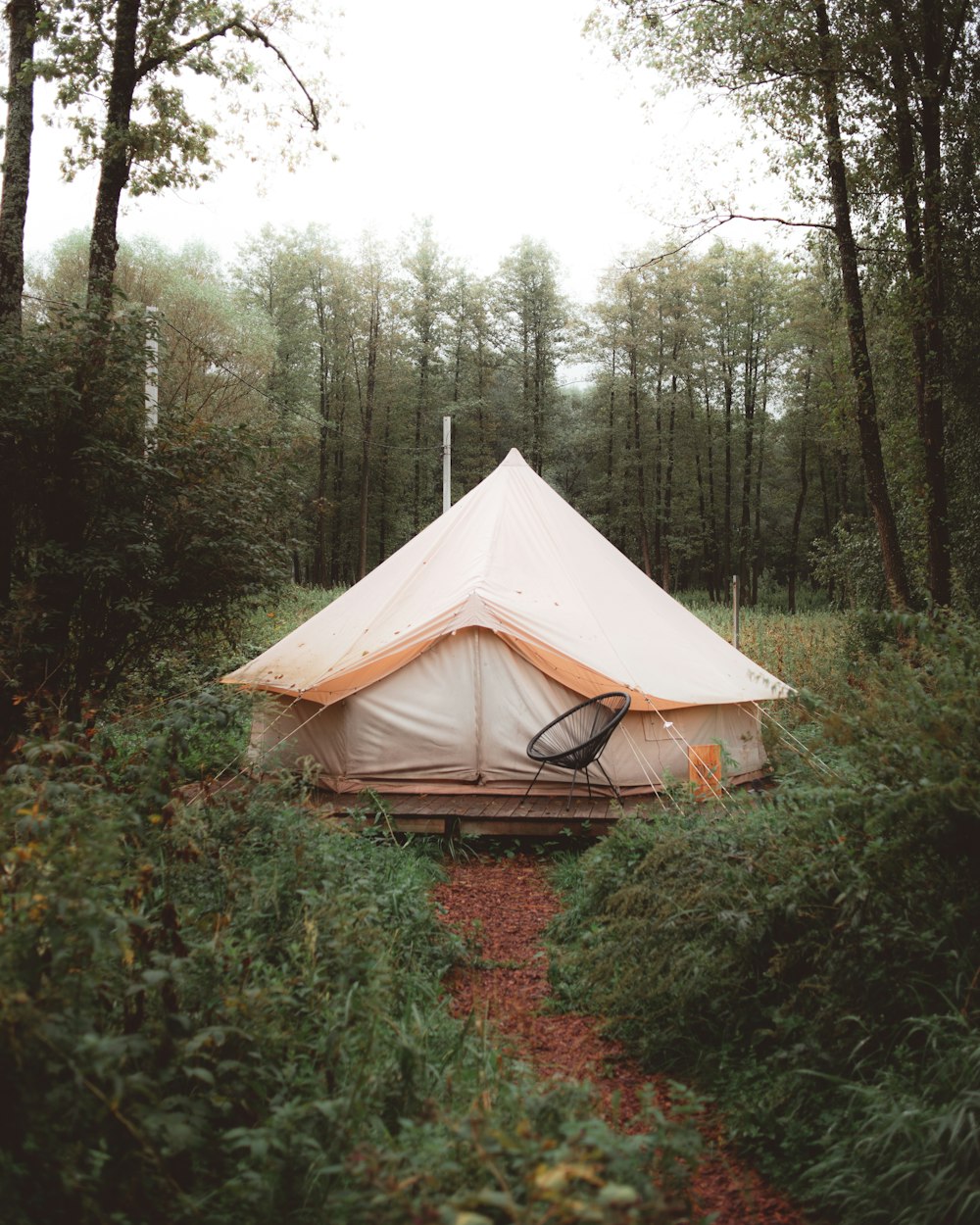 white tent in the middle of forest