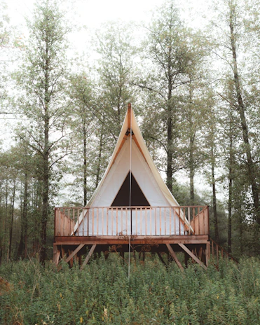 brown wooden bridge over green grass field
