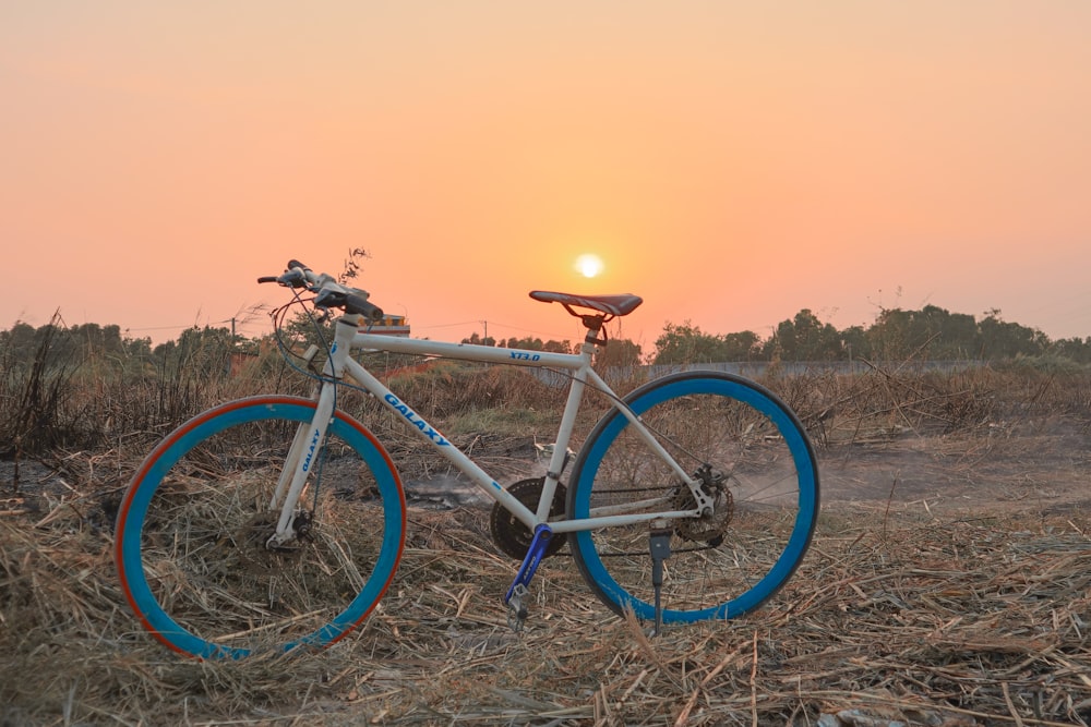 Bicicleta de carretera azul y negra en el campo de hierba marrón durante la puesta del sol