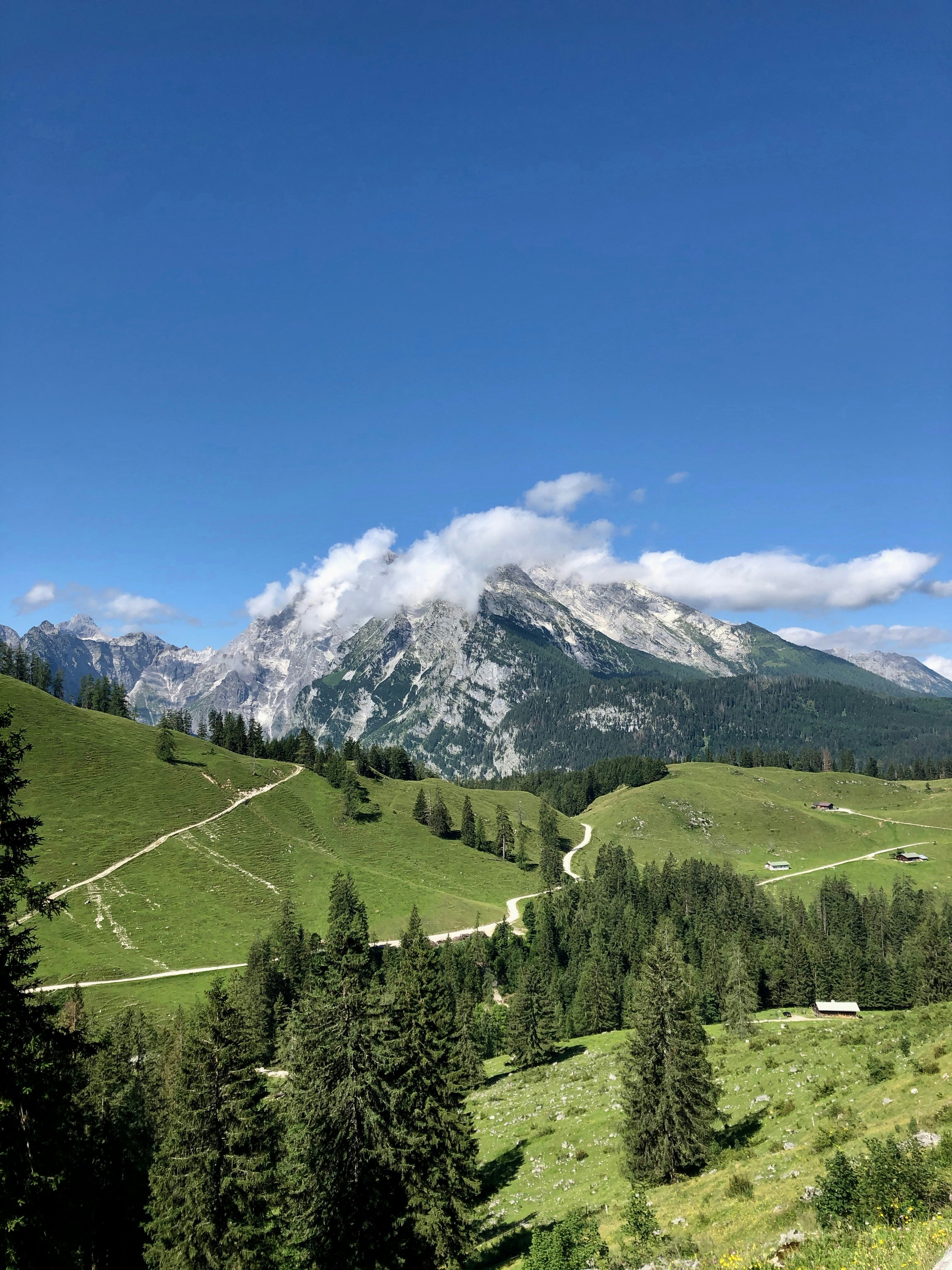 Photo by lilysphotography