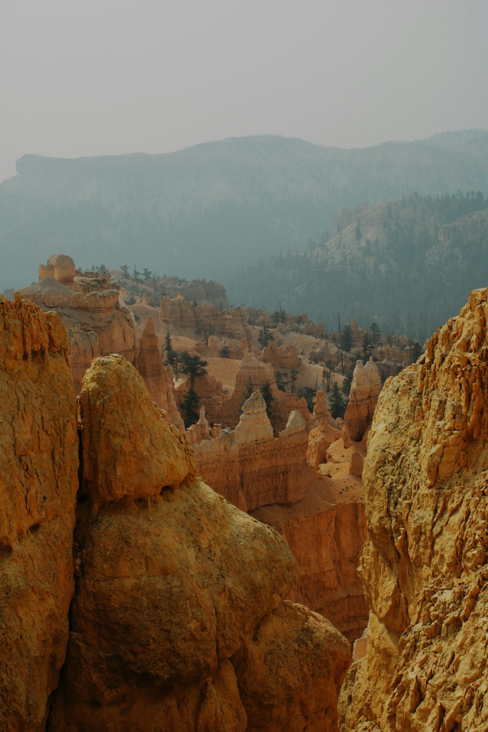 brown rock formation during daytime