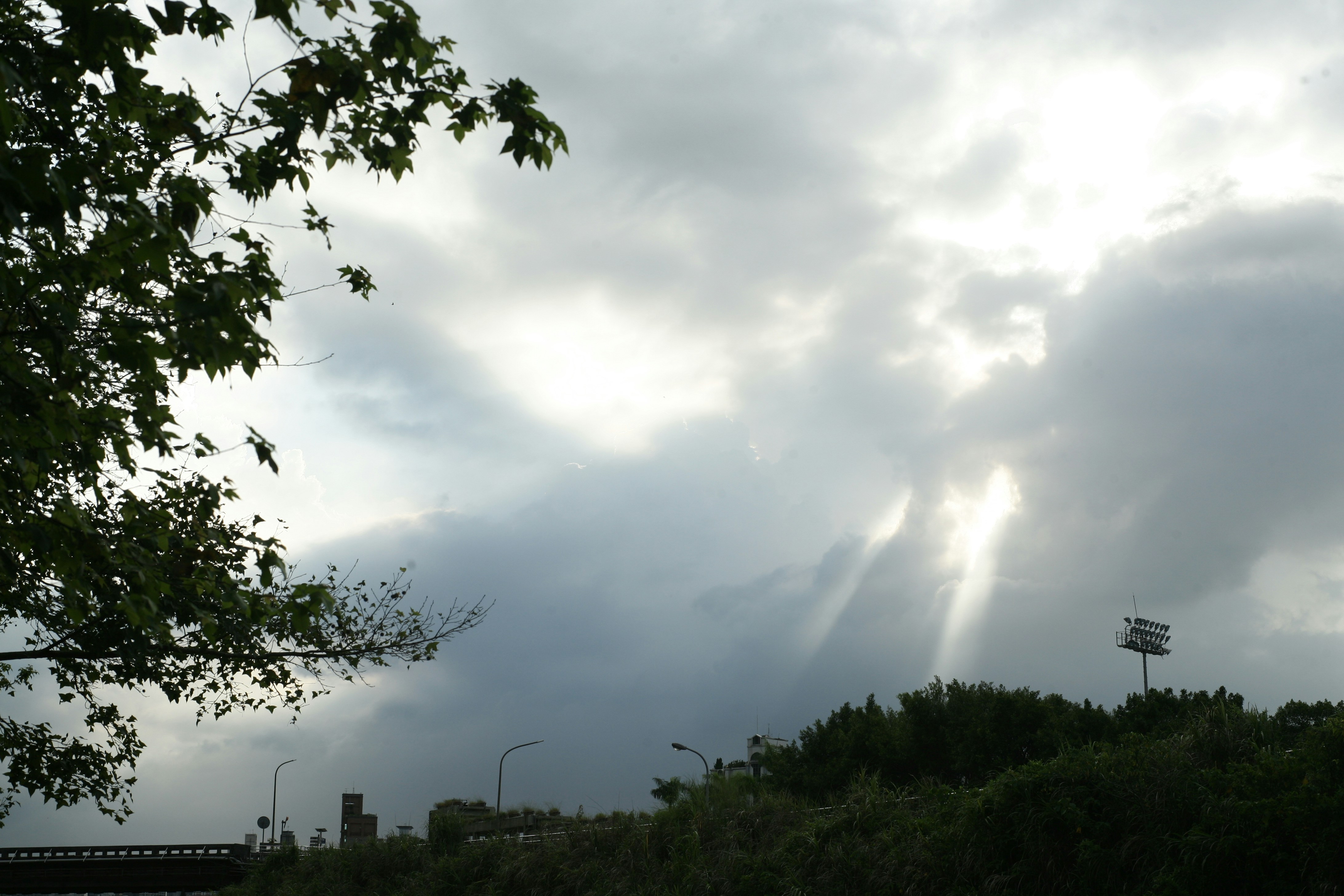 green trees under white clouds during daytime