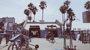 Modern gym space with natural light and a variety of fitness equipment overlooking palm trees