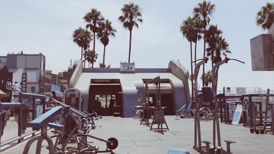 An outdoor gym with various exercise equipment is set against a backdrop of palm trees. The gym area is open-air, with weight machines and benches visible. In the background, there is a building with a signboard, and people can be seen working out under the clear sky. The scene has a laid-back, summery feel.