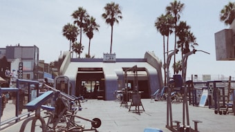 An outdoor gym with various exercise equipment is set against a backdrop of palm trees. The gym area is open-air, with weight machines and benches visible. In the background, there is a building with a signboard, and people can be seen working out under the clear sky. The scene has a laid-back, summery feel.