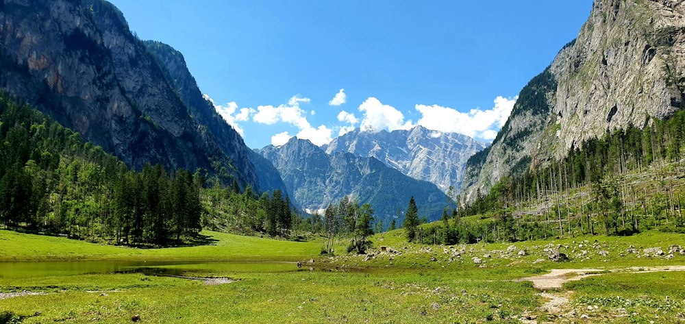 green grass field near green trees and mountains during daytime