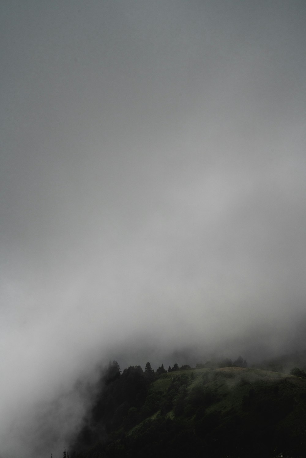 green trees on mountain under white clouds