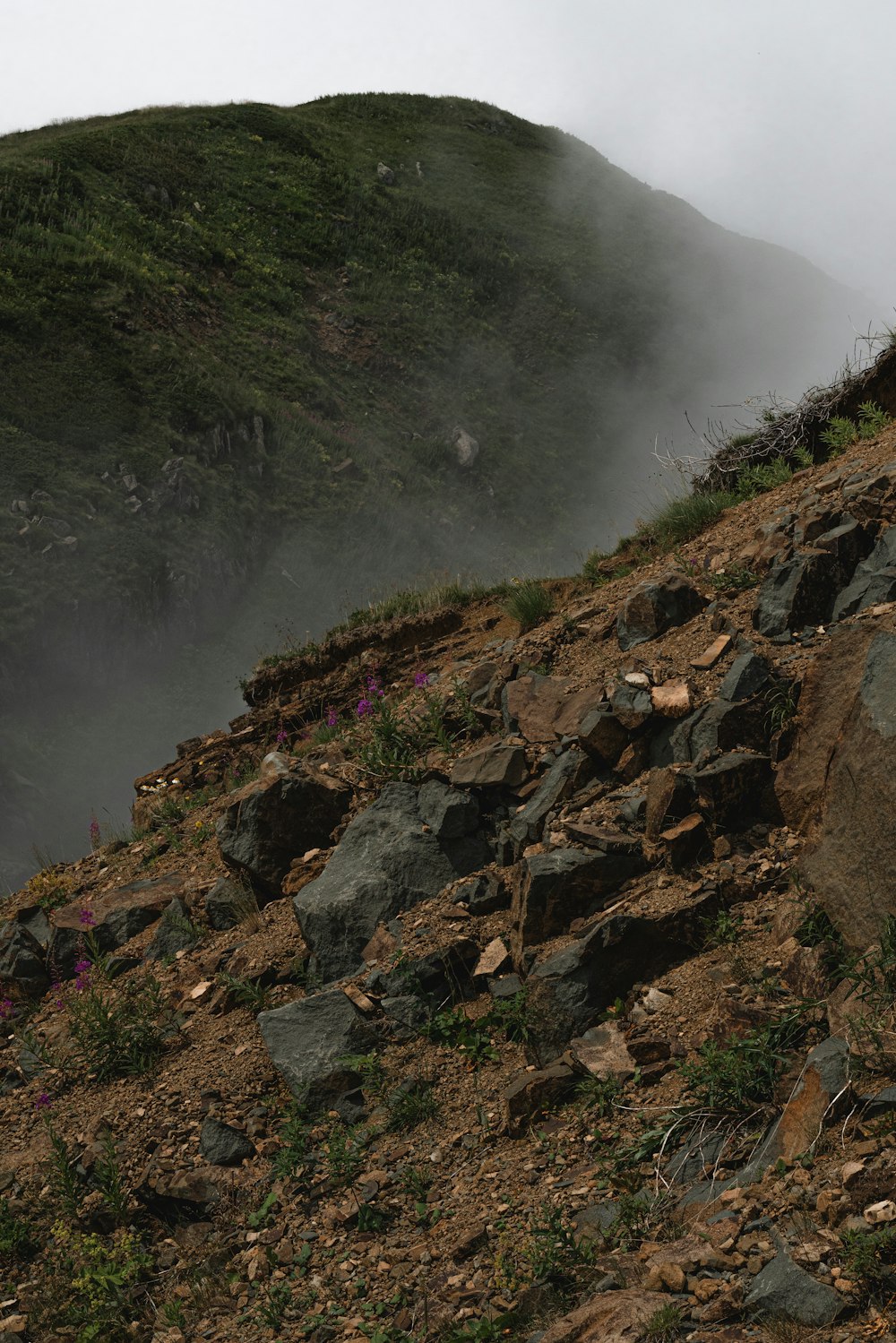 緑の草と霧のある茶色の岩山