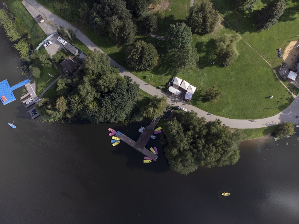 black and yellow plane on the road