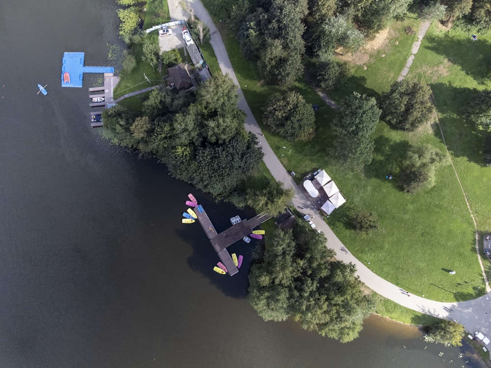 aerial view of green trees and white car during daytime