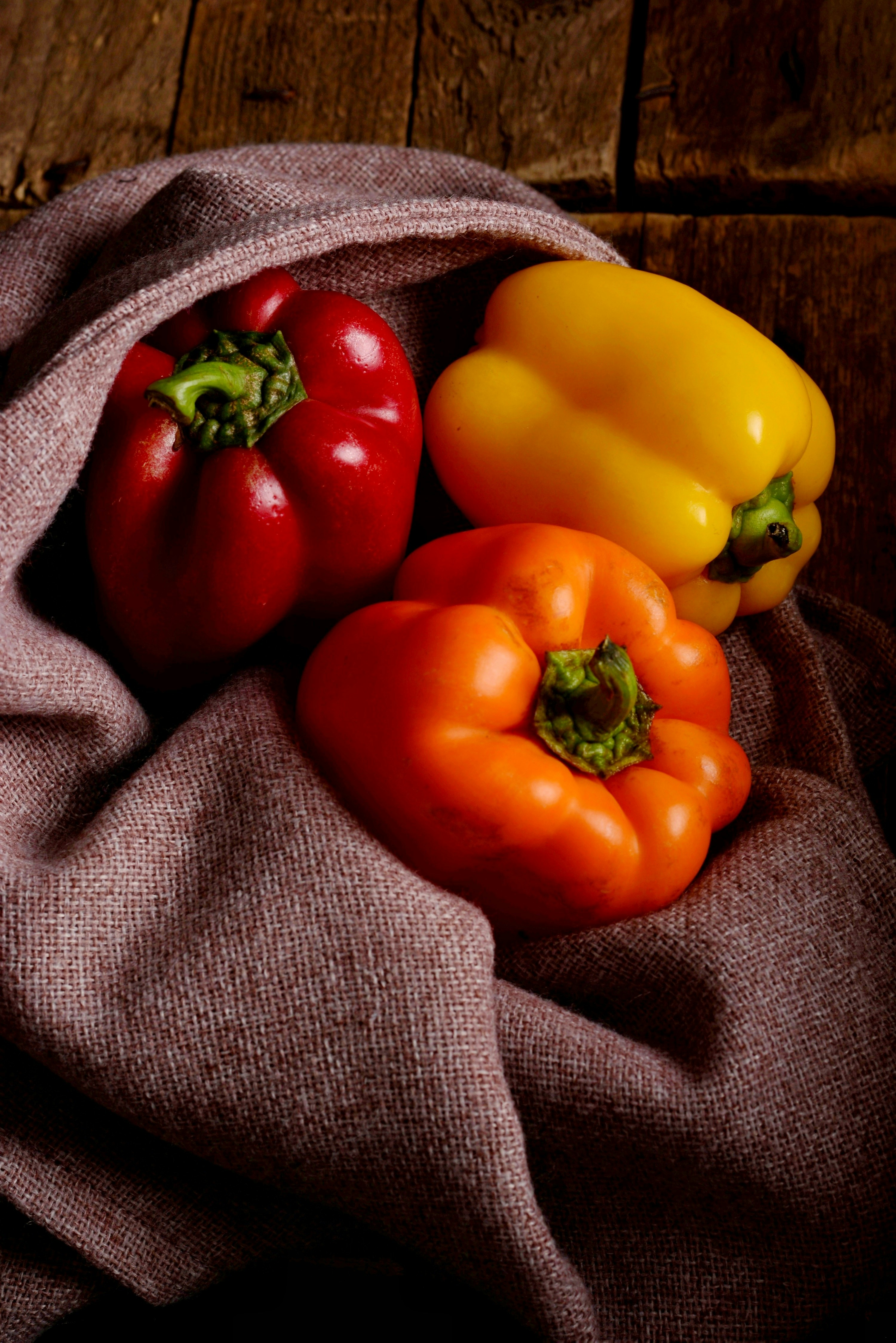 Photo by maryamjahanmehr