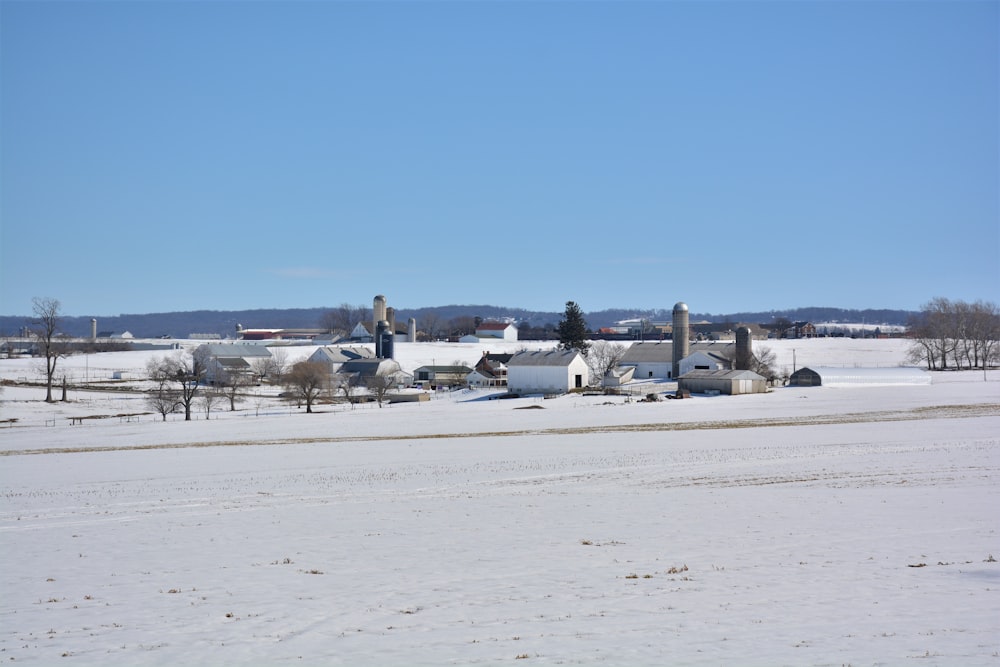 white houses on white snow field under blue sky during daytime