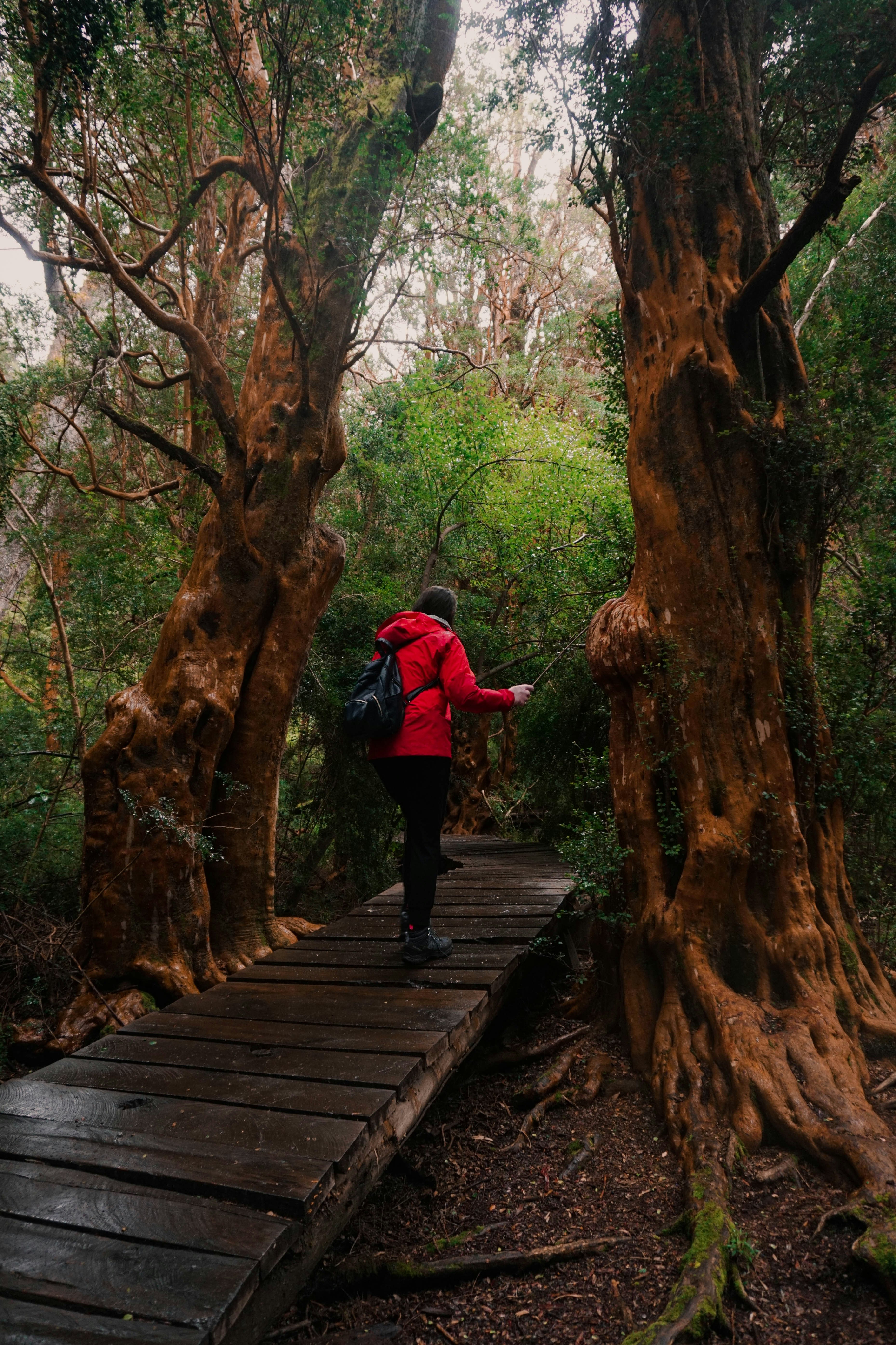 woman in red hoodie walking on wooden bridge