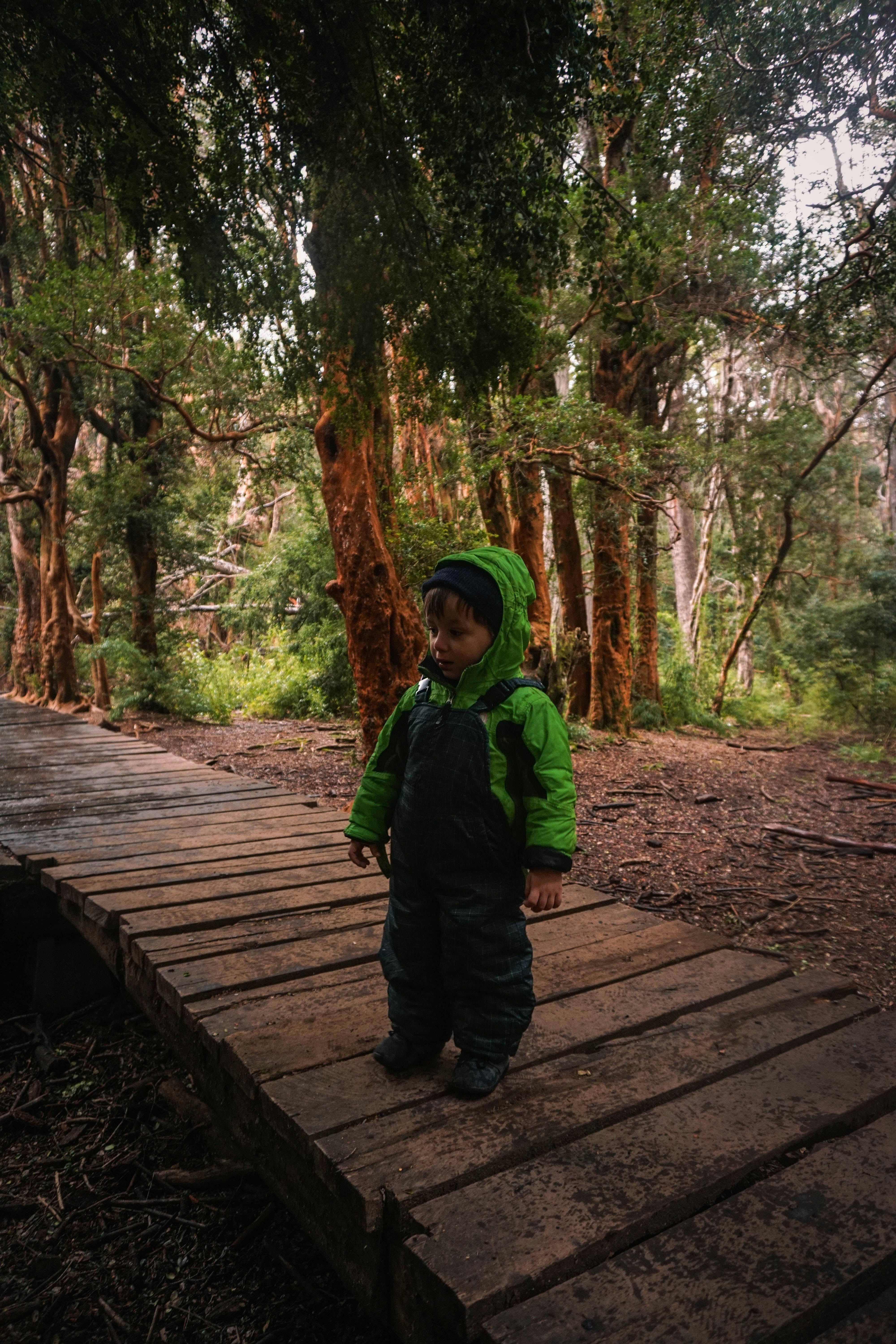 boy in green jacket walking on wooden bridge
