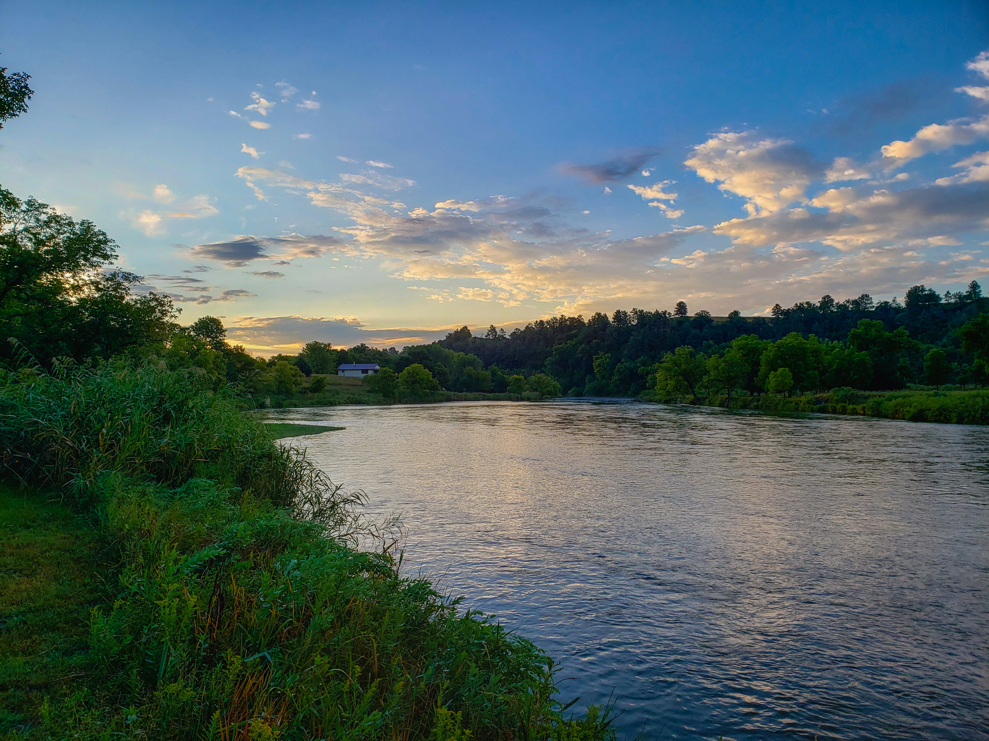 green grass near river under blue sky during daytime