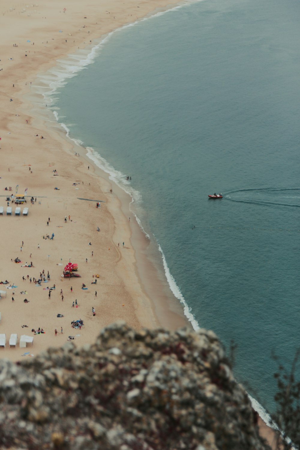 people on beach during daytime