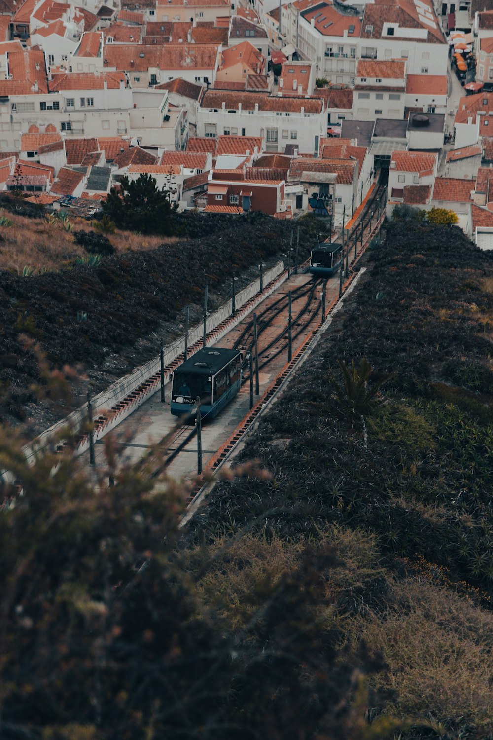 aerial view of houses and trees during daytime