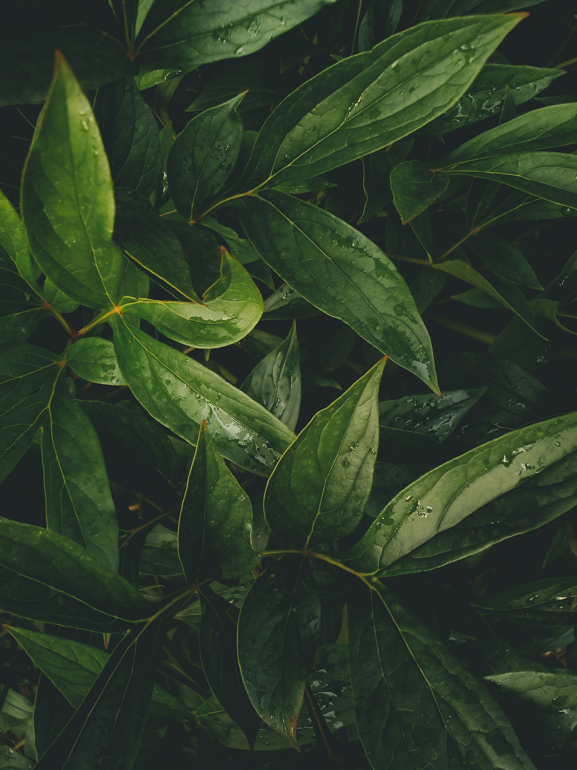 Photo by eugene_golovesov