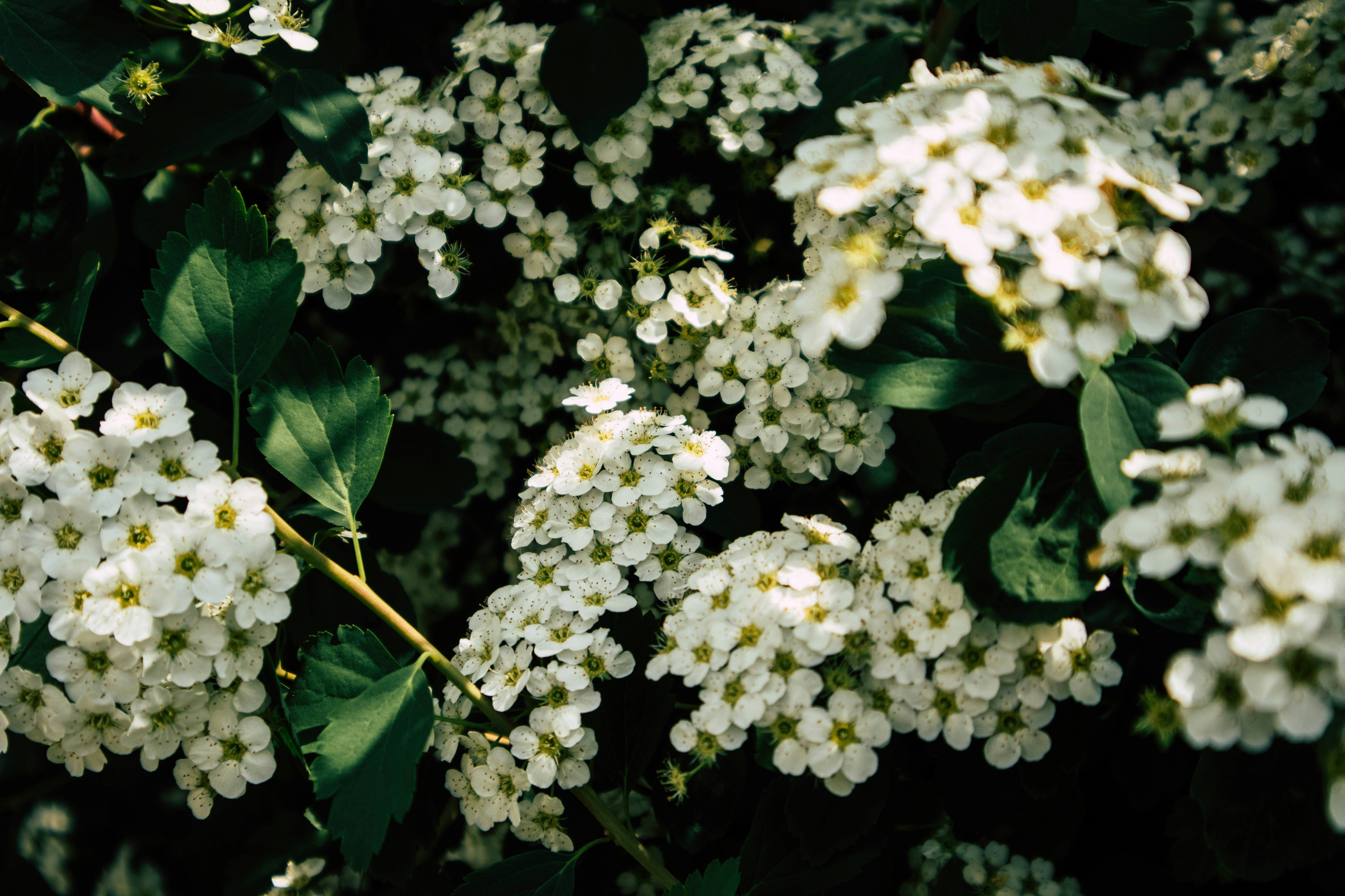 Photo by imaging_joy