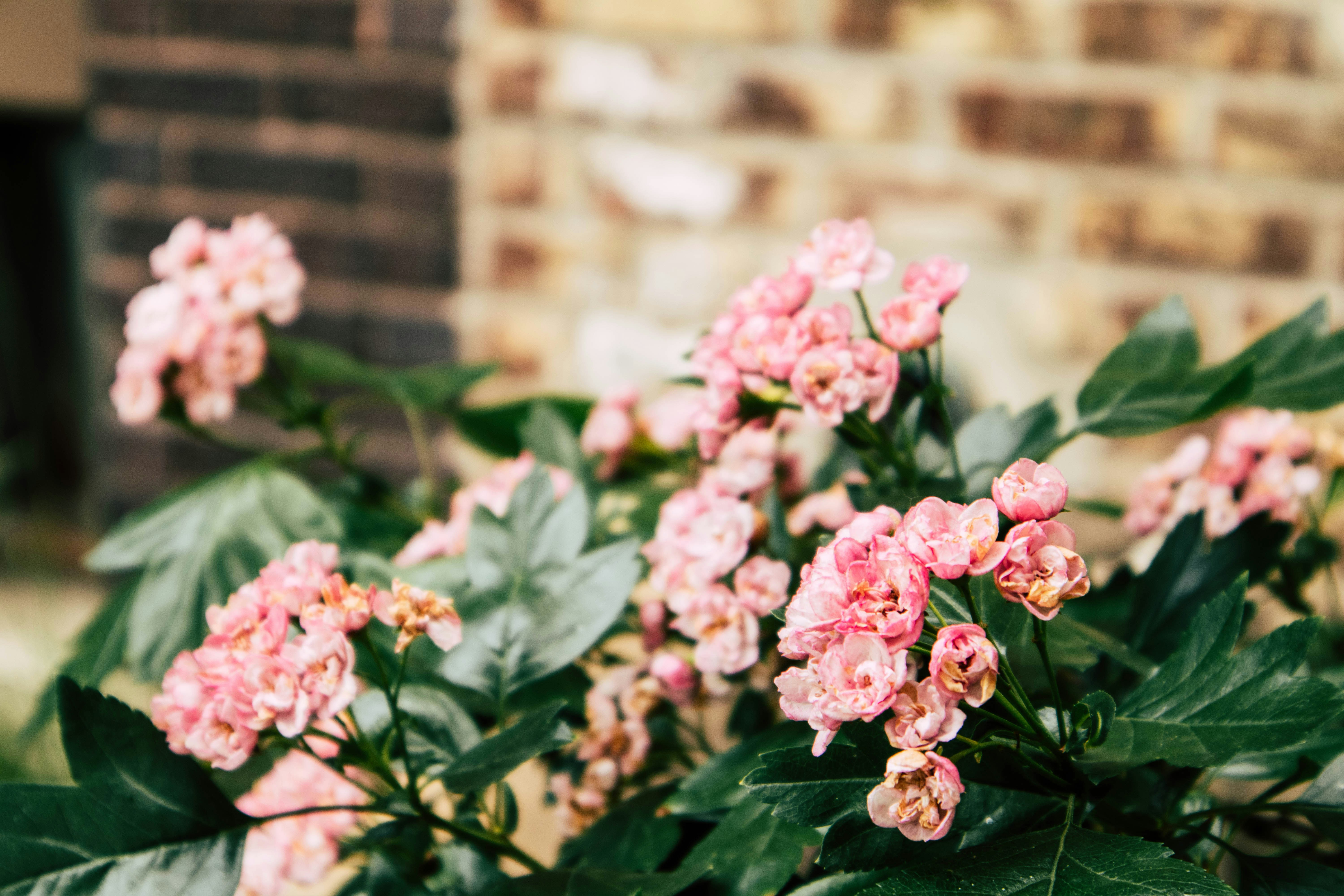 Photo by imaging_joy