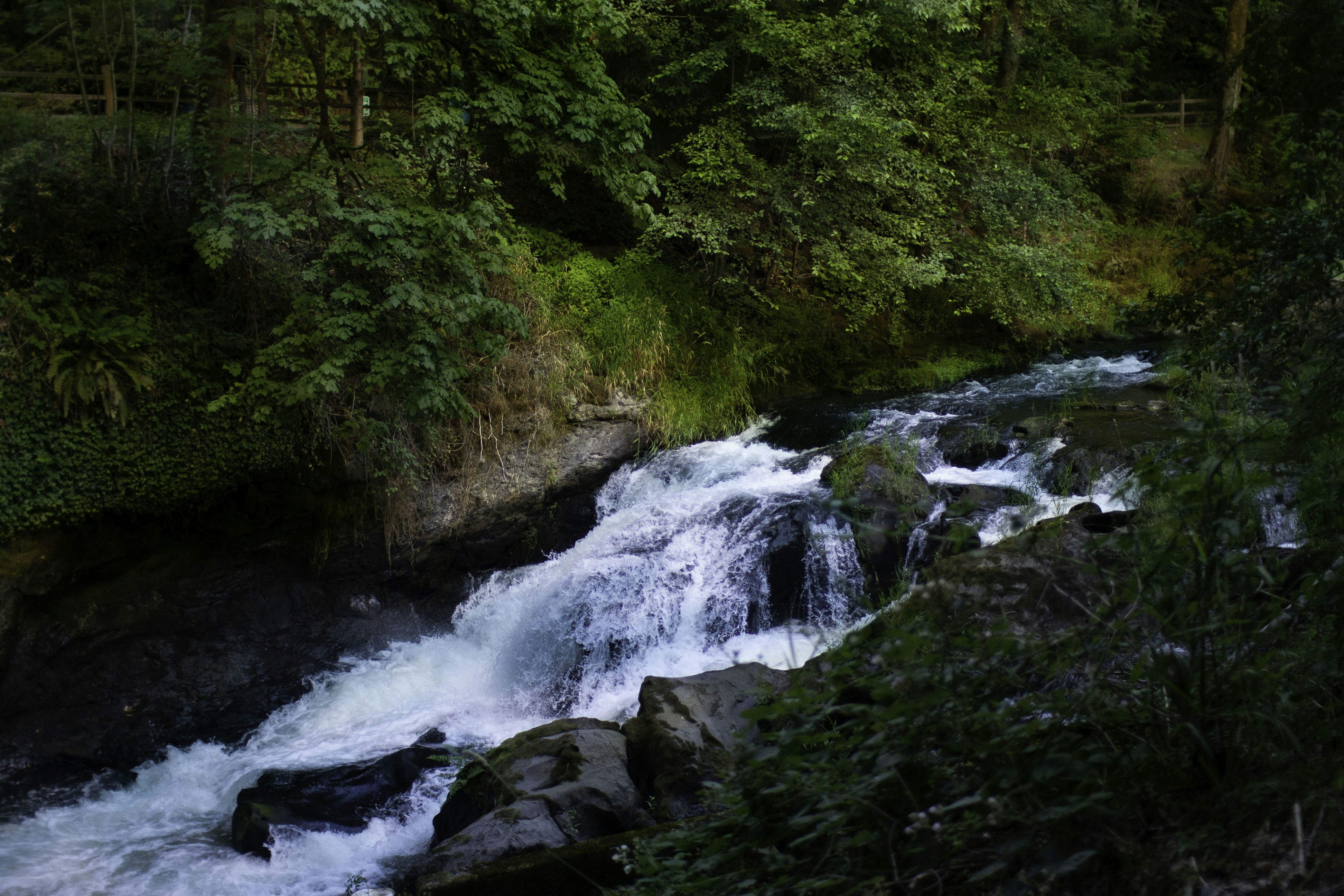 Photo by imaging_joy