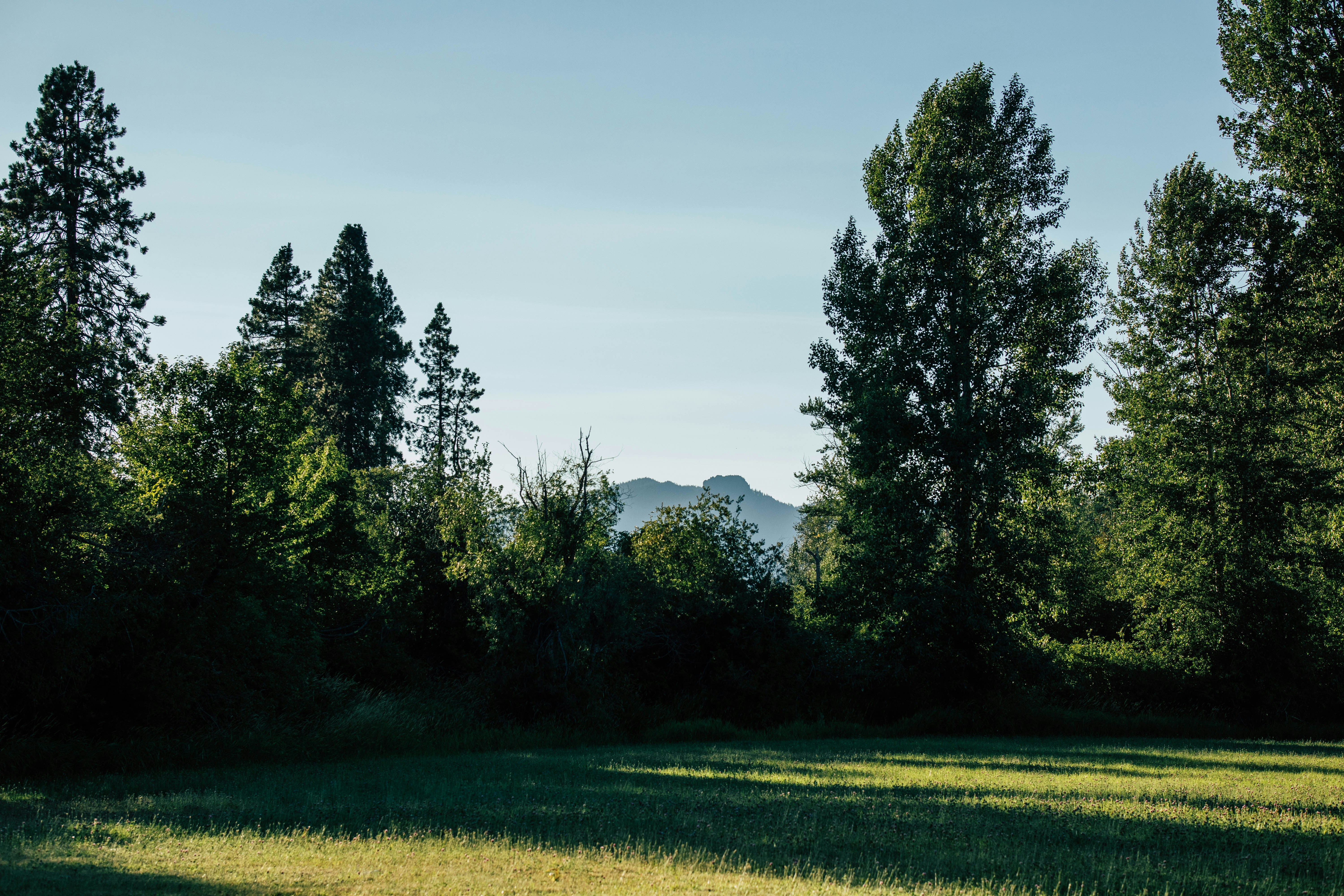 Photo by imaging_joy