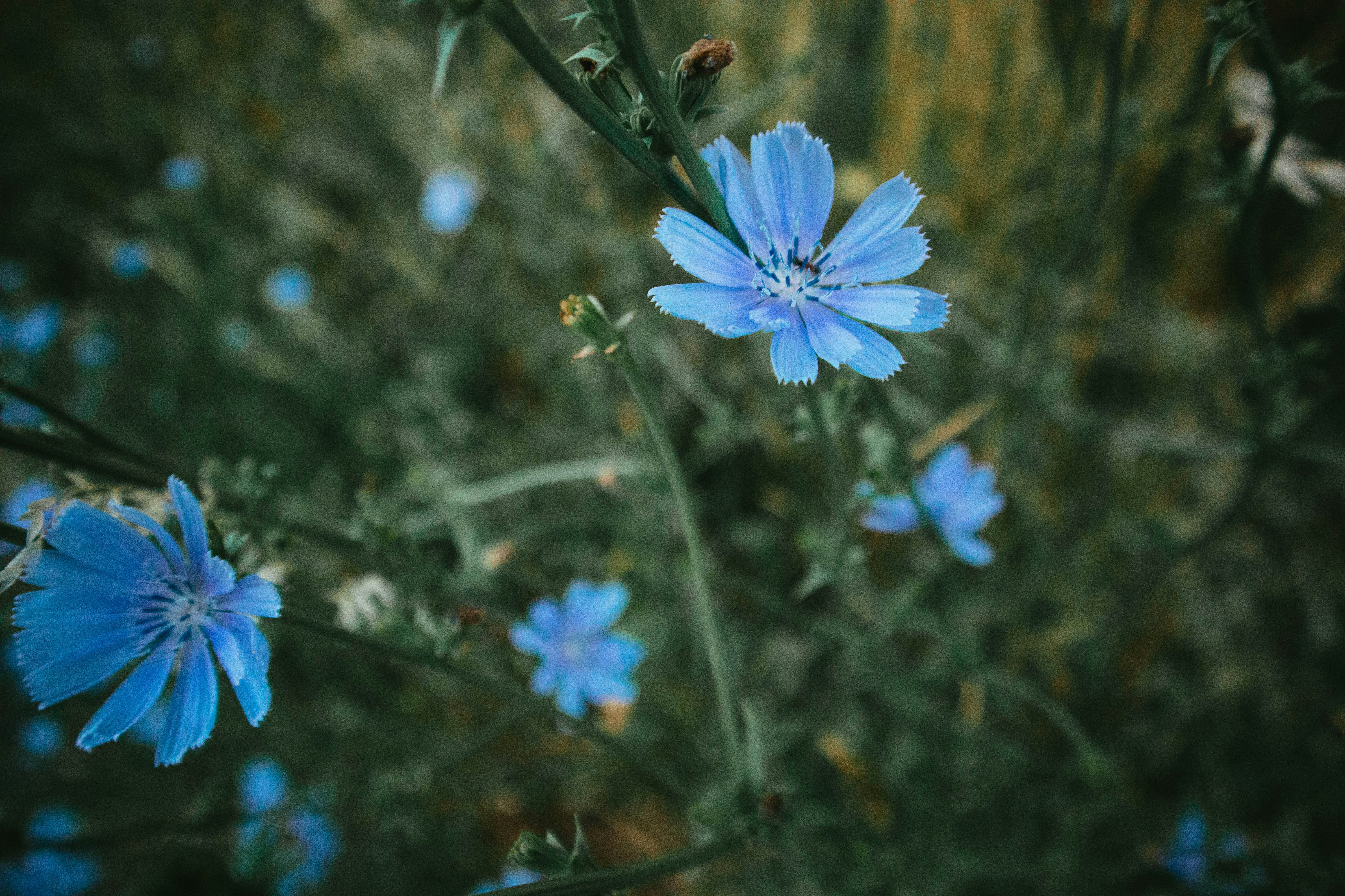 Photo by imaging_joy