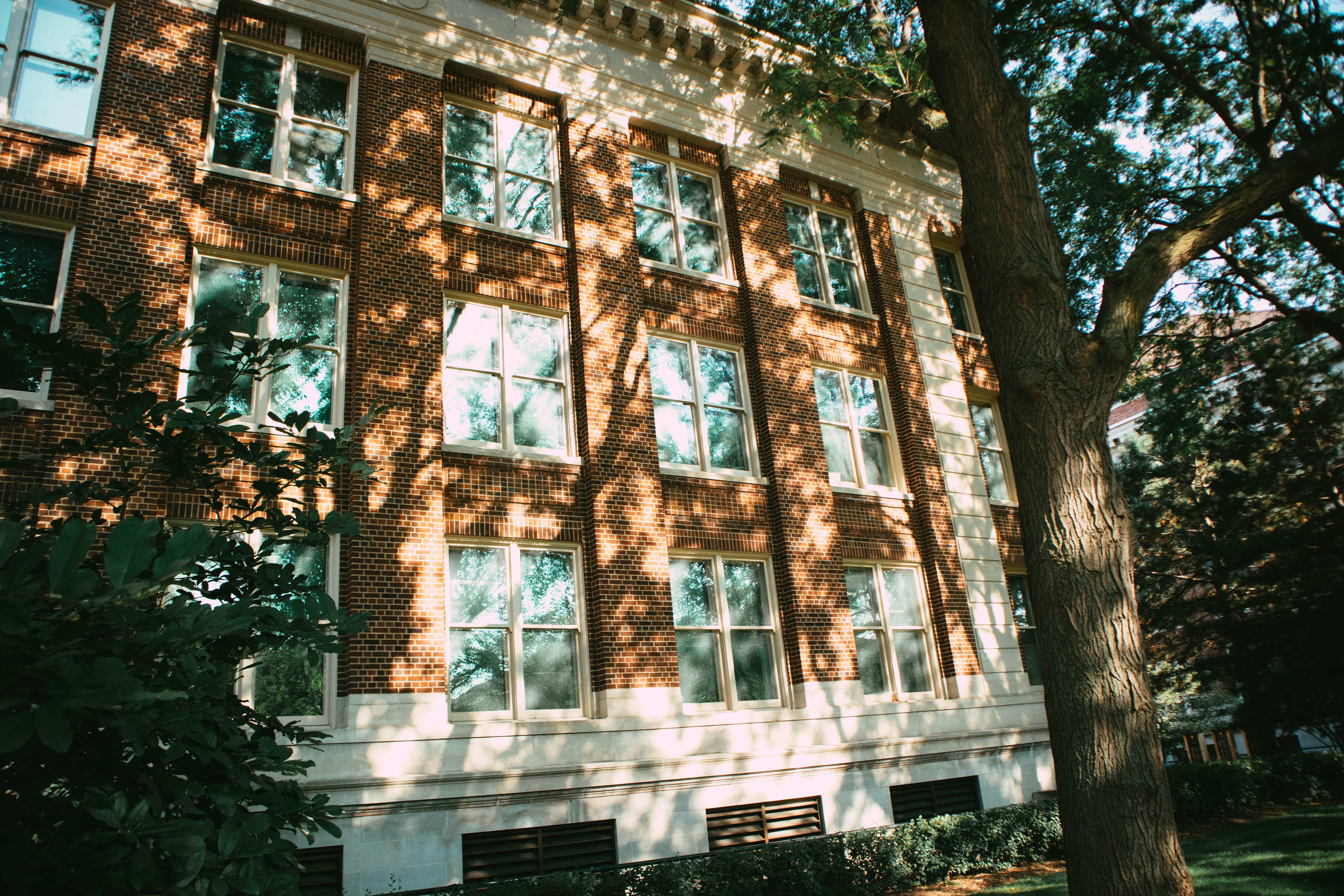 Photo by imaging_joy