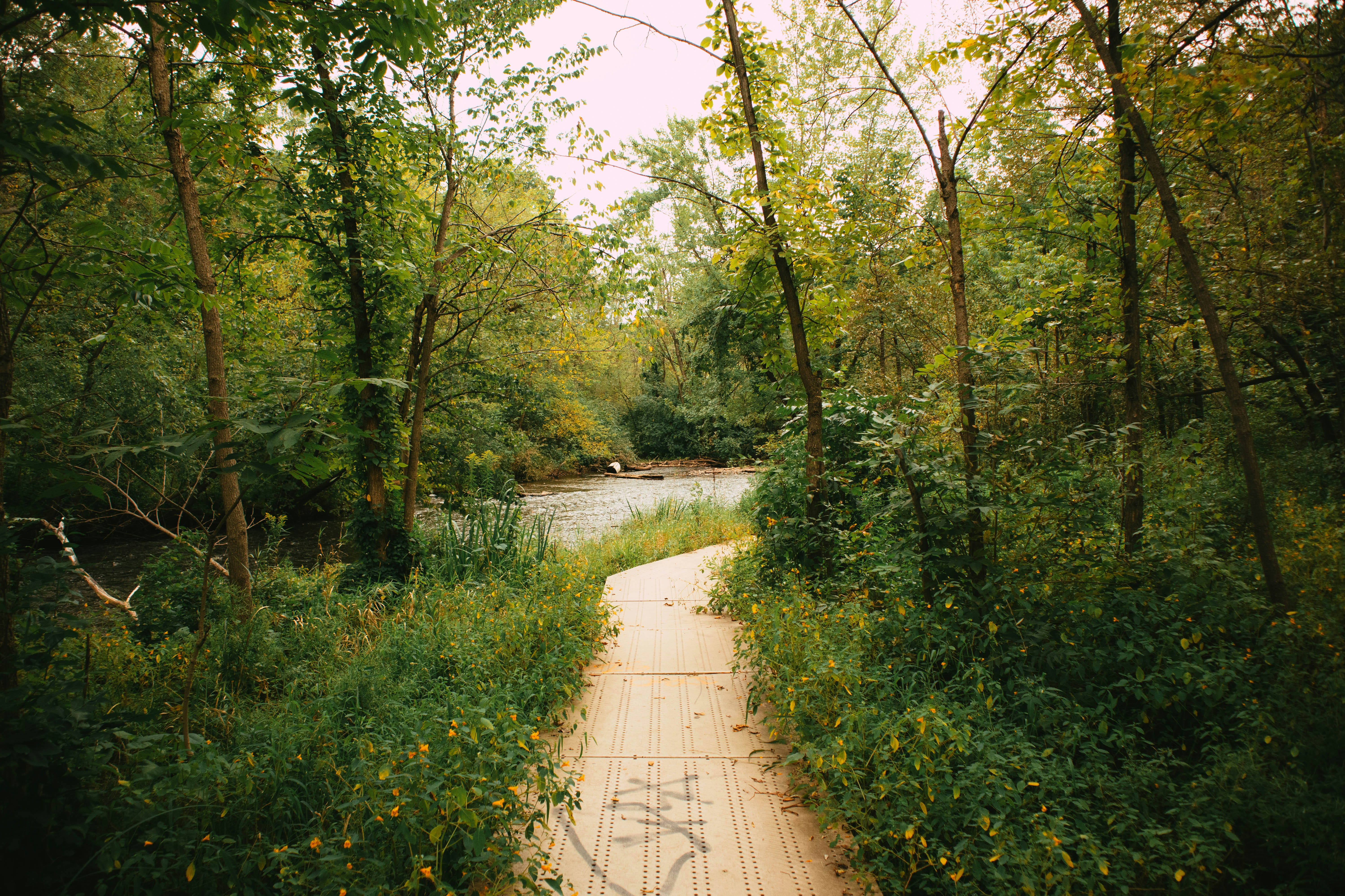 Photo by imaging_joy