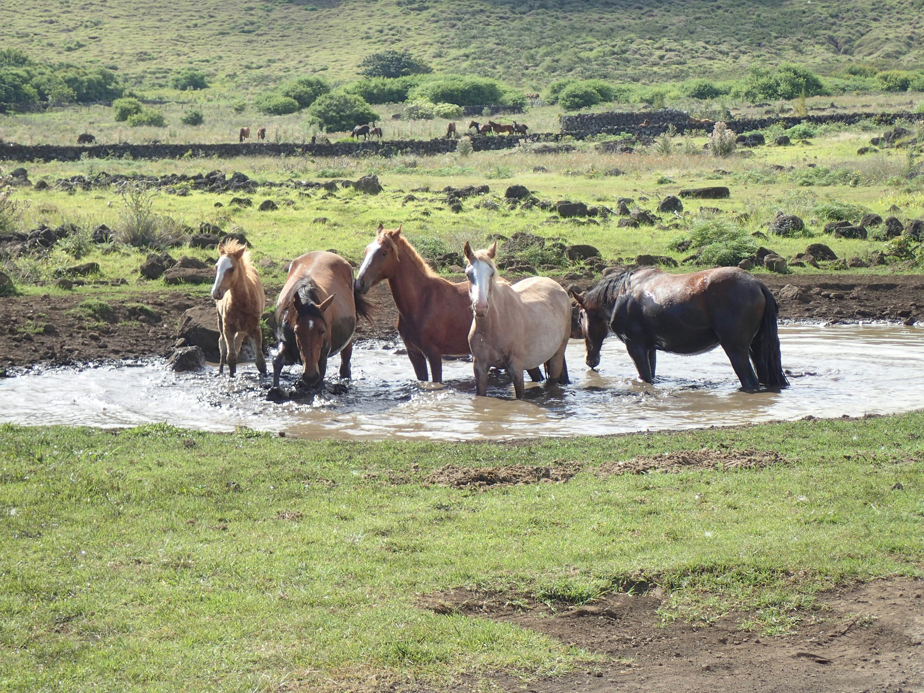 Photo by thiagorobert