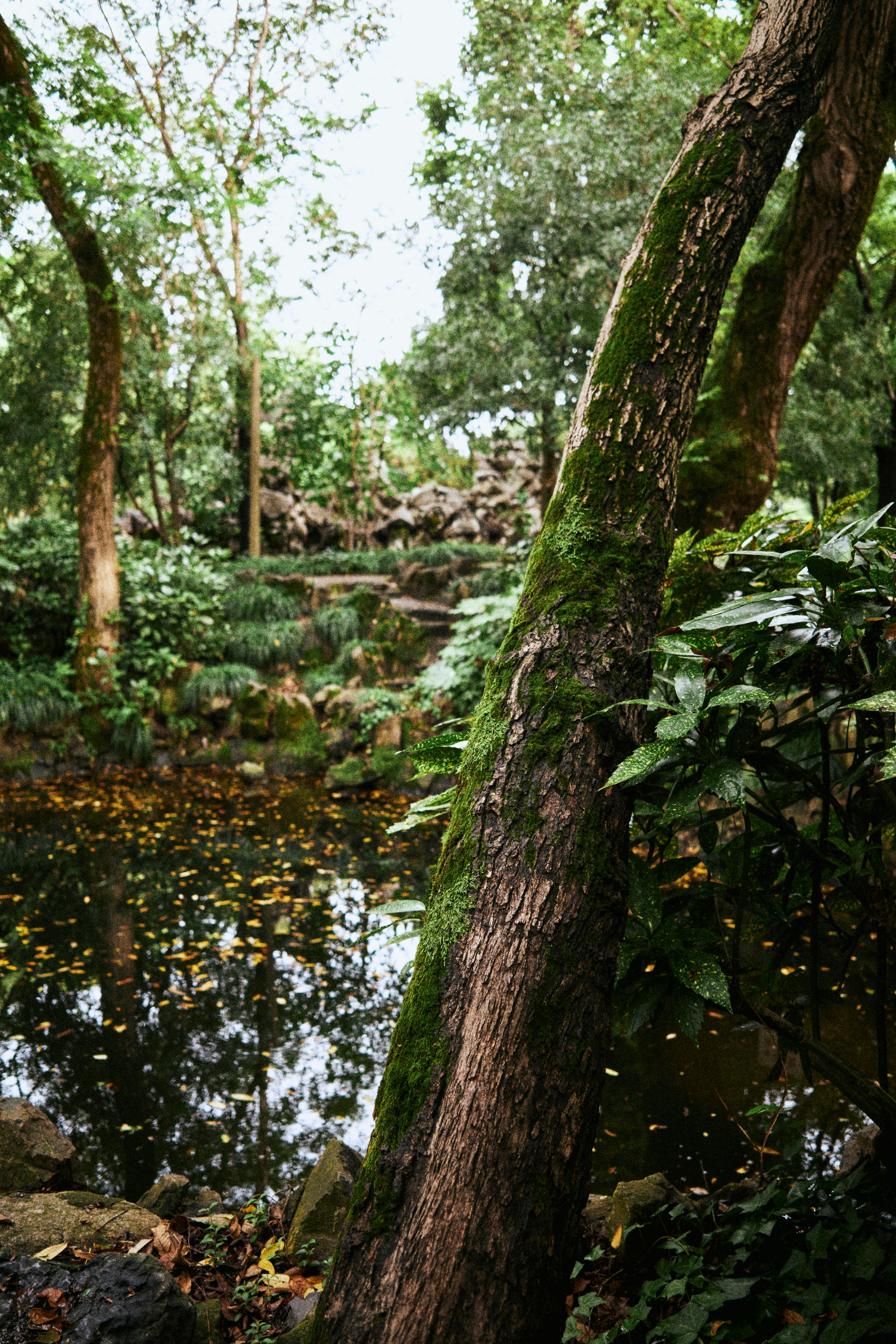 Photo by charlescai0724