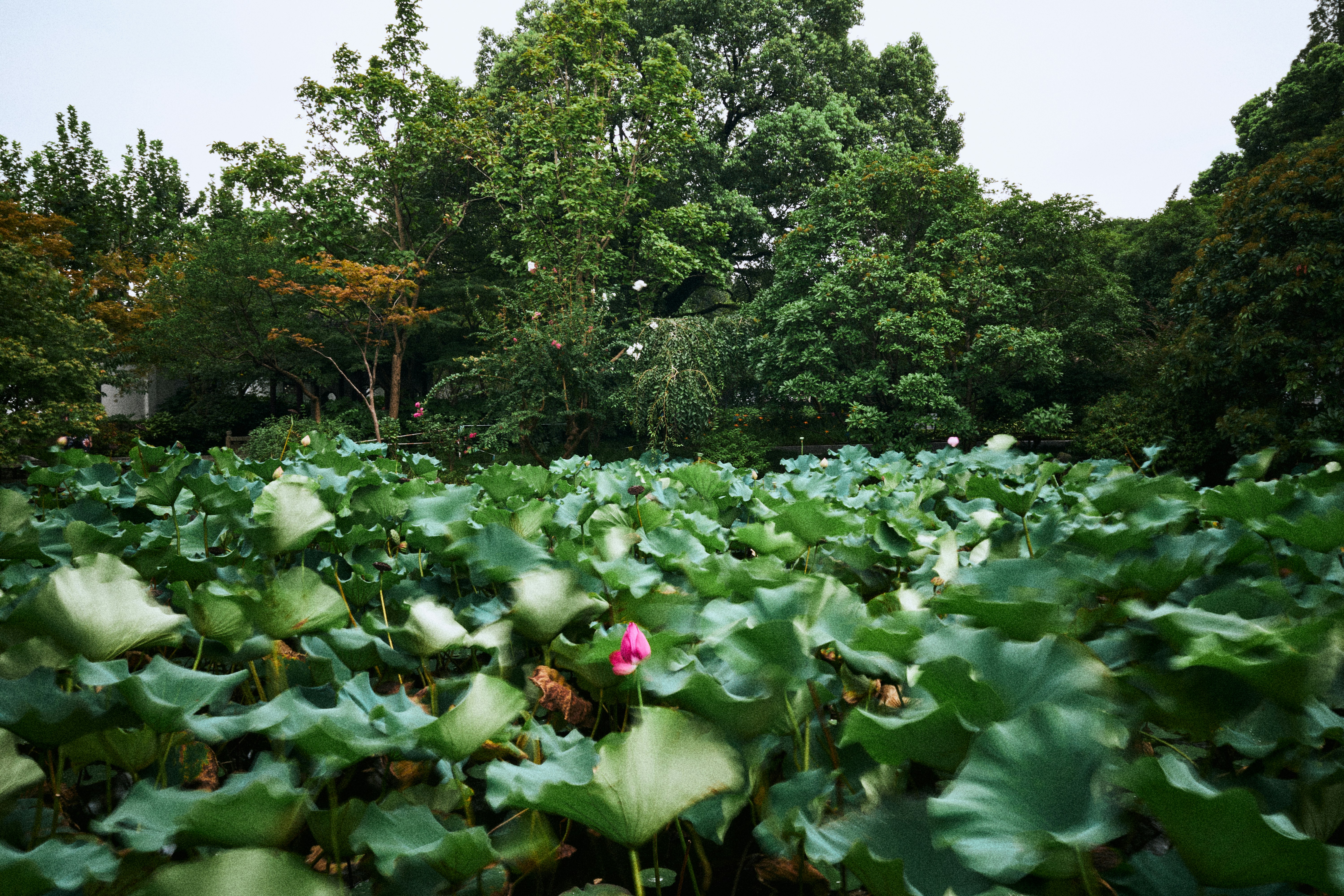 3. プロが推奨する上田市の美容鍼治療について