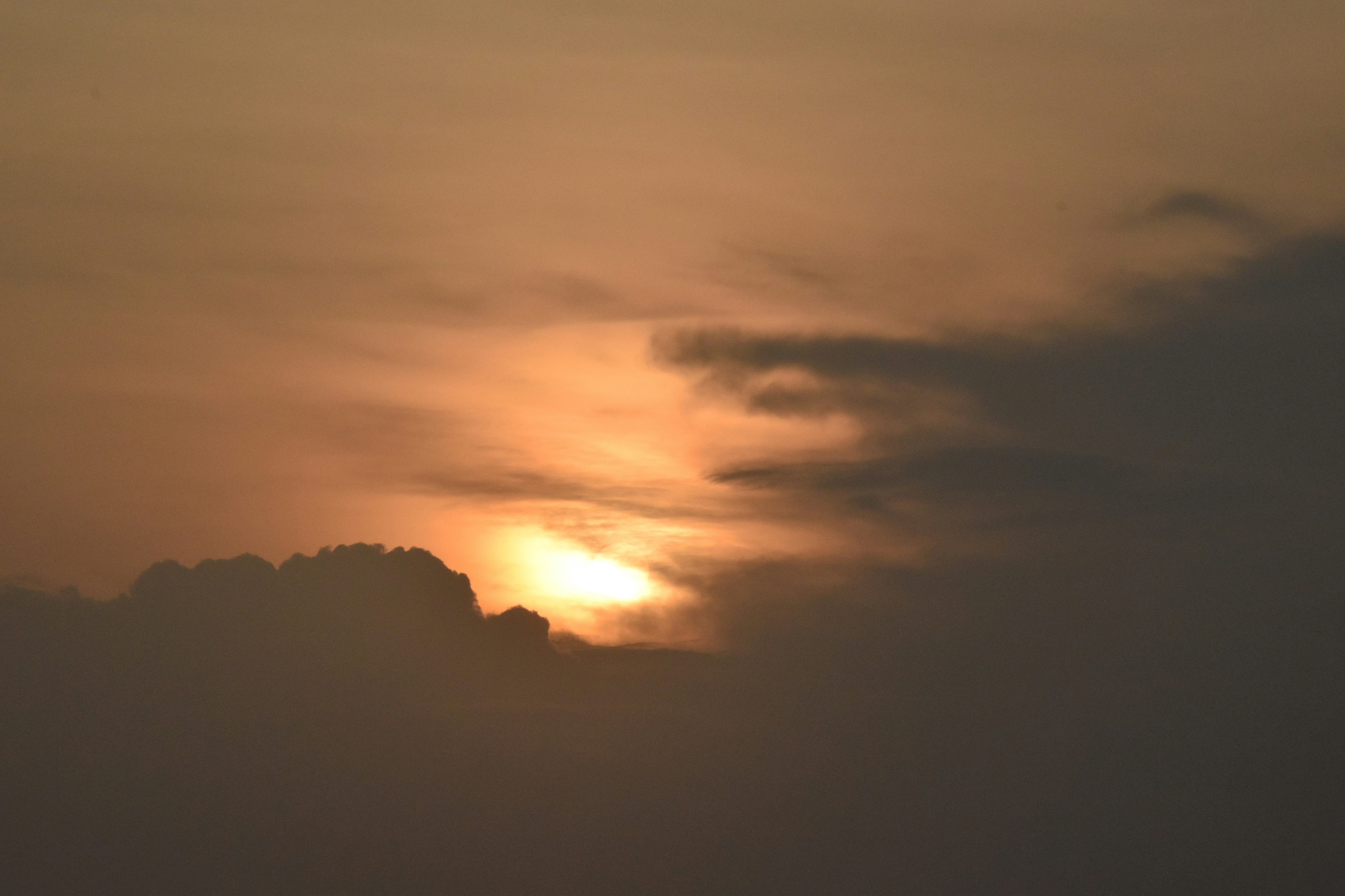 Photo by shourjodeepghosh7367