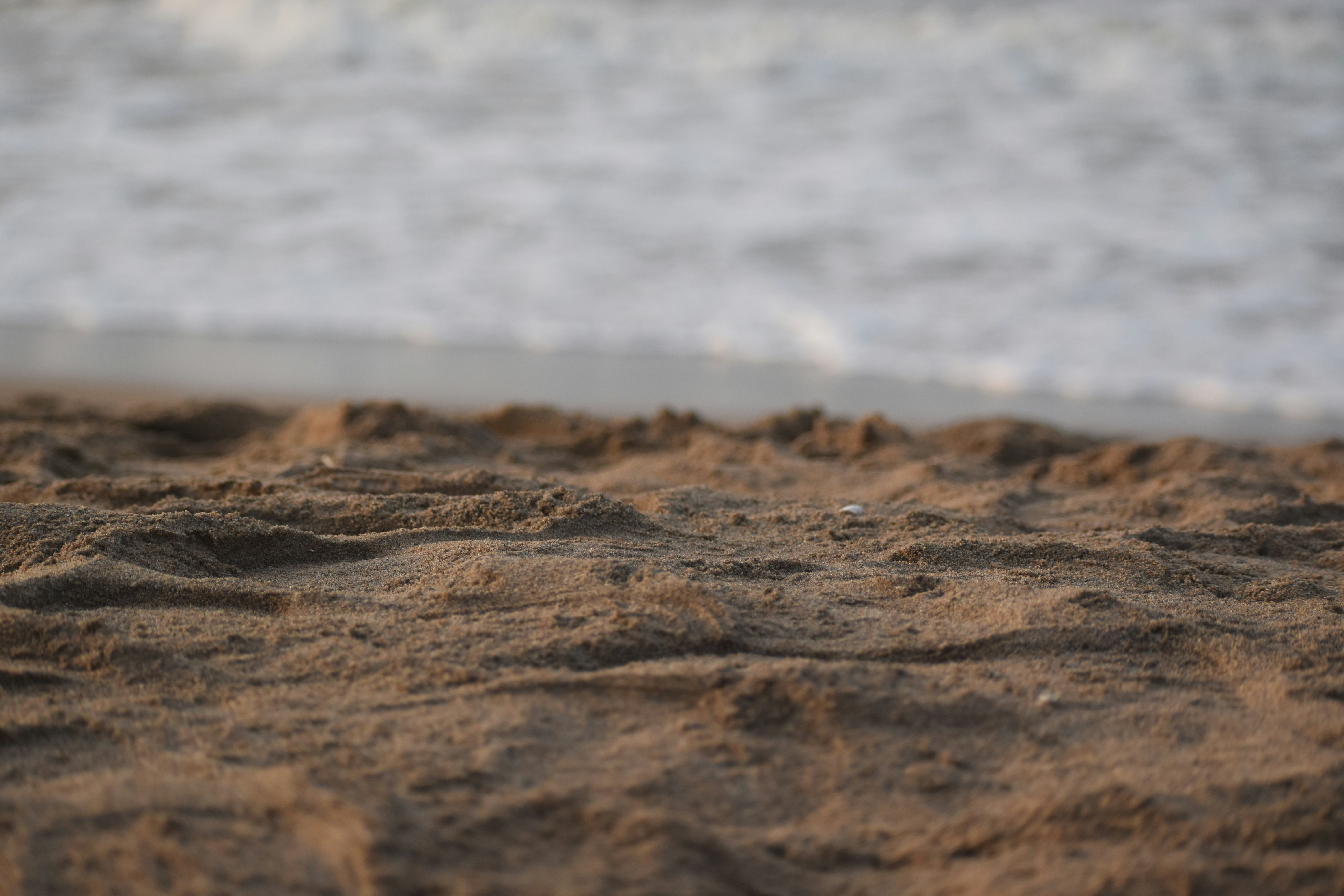 Photo by shourjodeepghosh7367