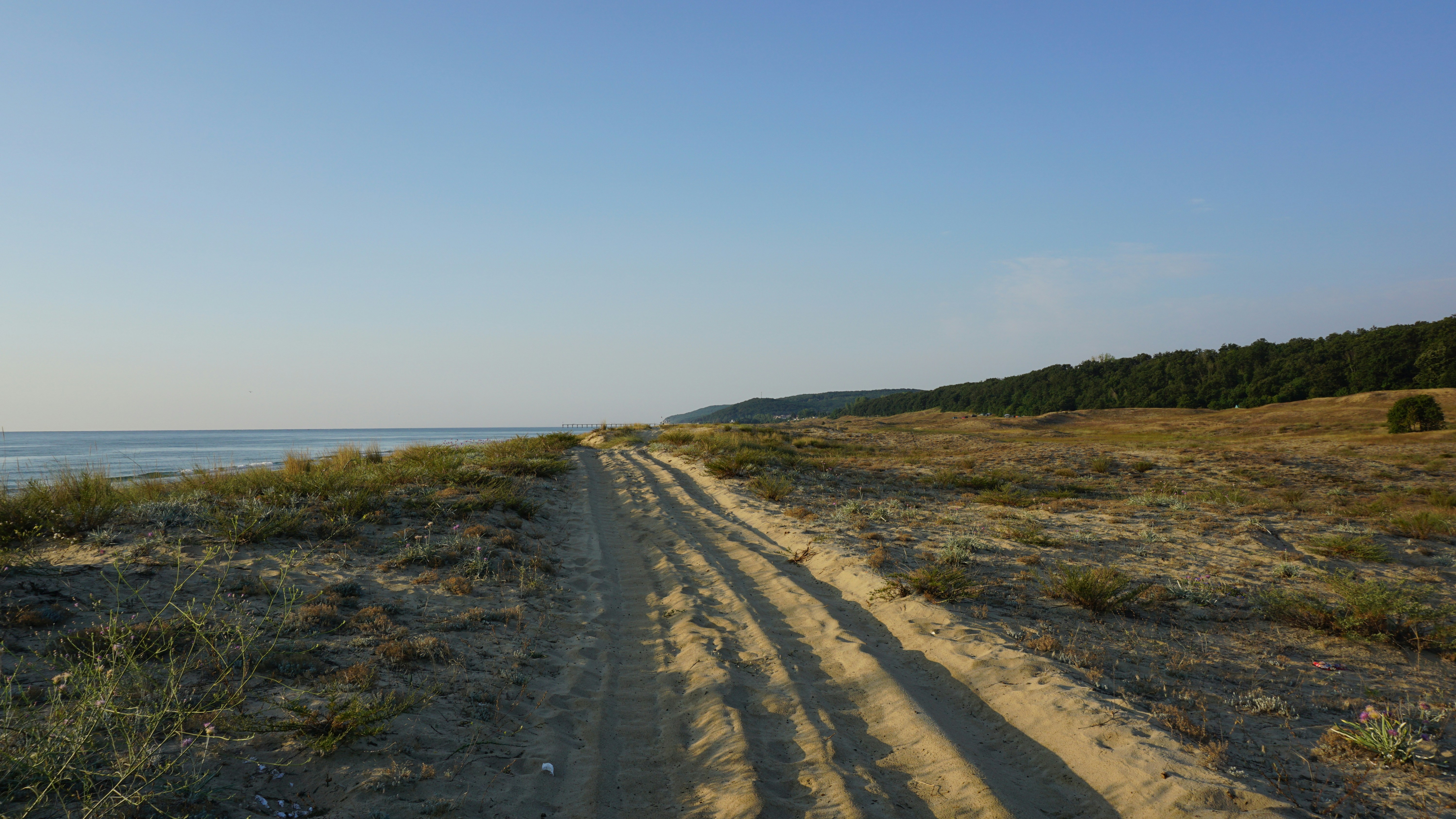 brown sand pathway between green grass field under blue sky during daytime