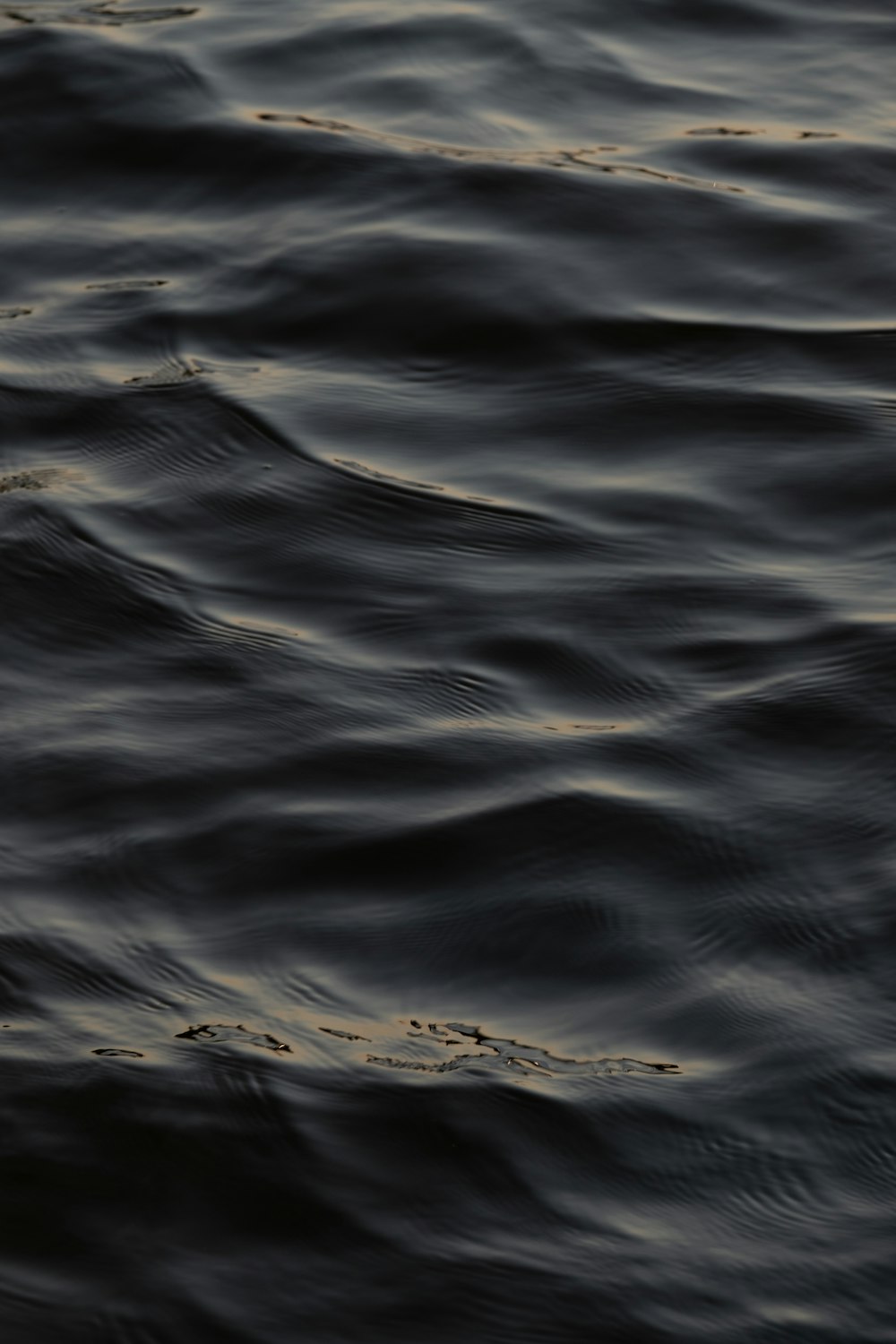 close up photo of body of water