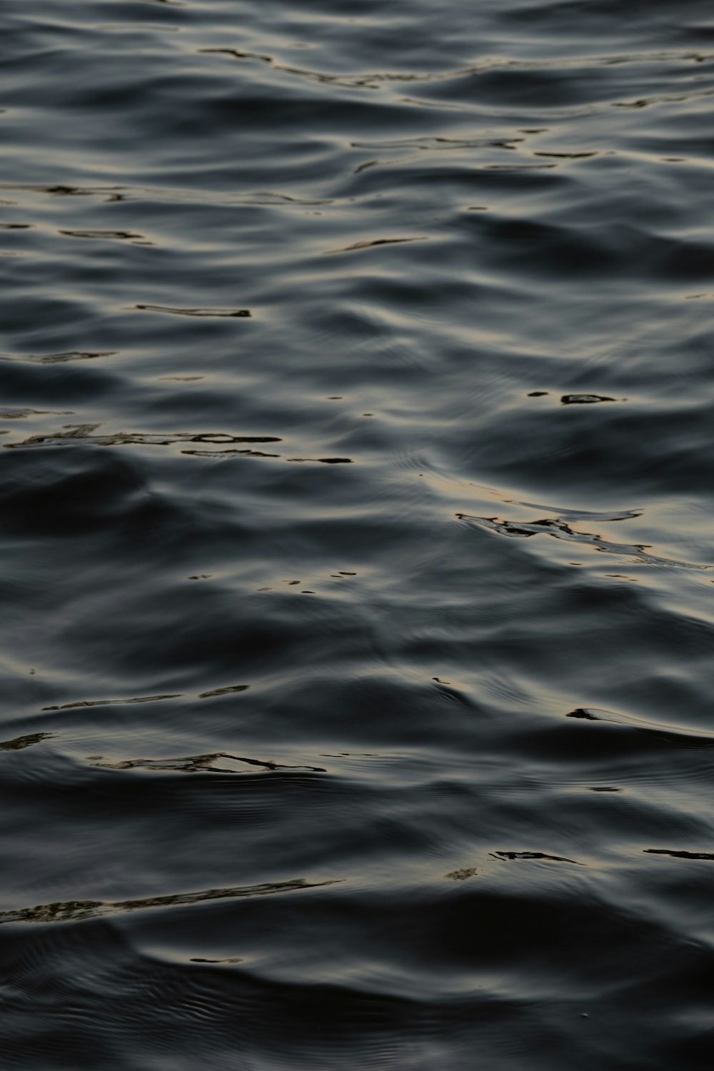 close up photo of water