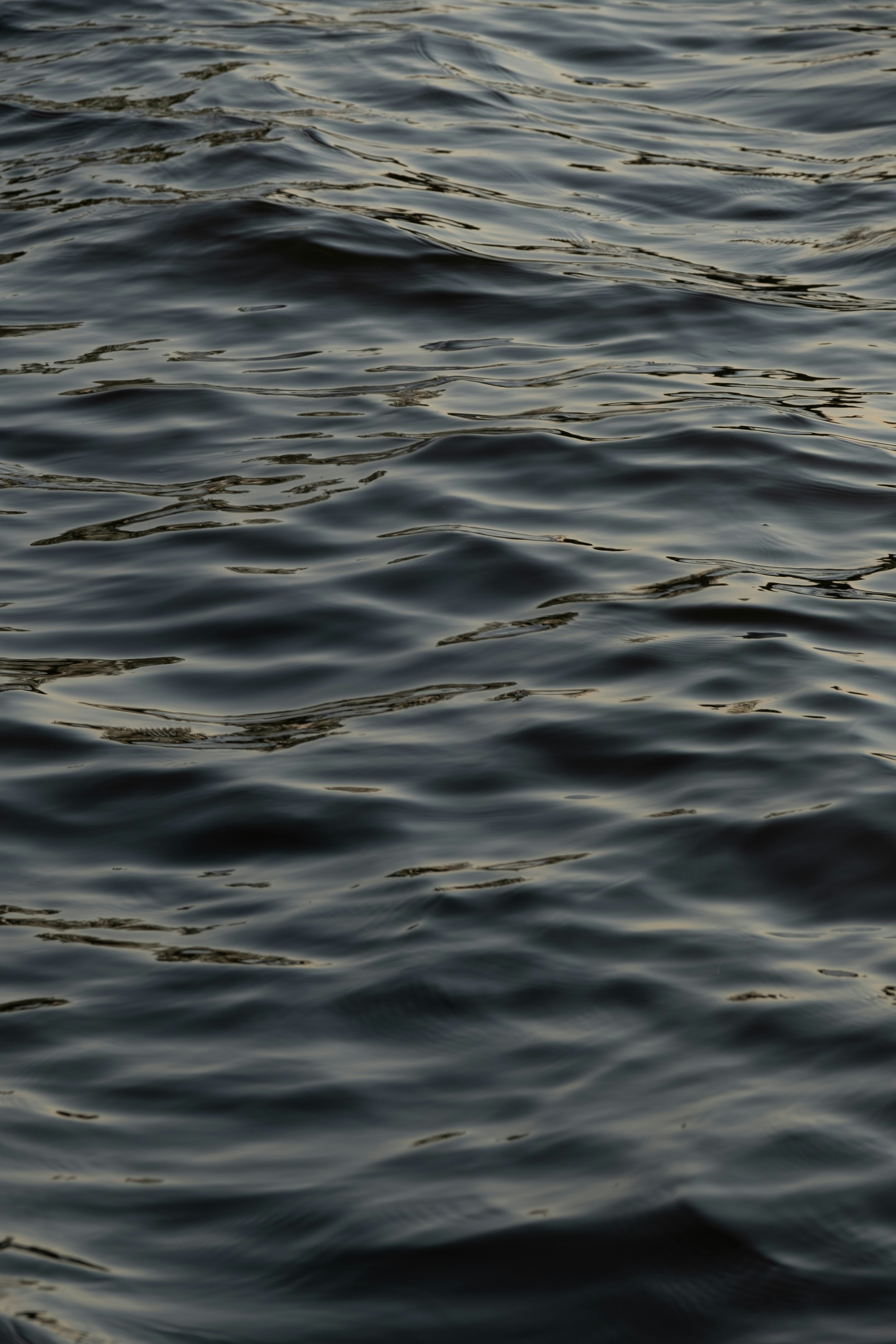 Music in the waves  |  Some beautiful waves