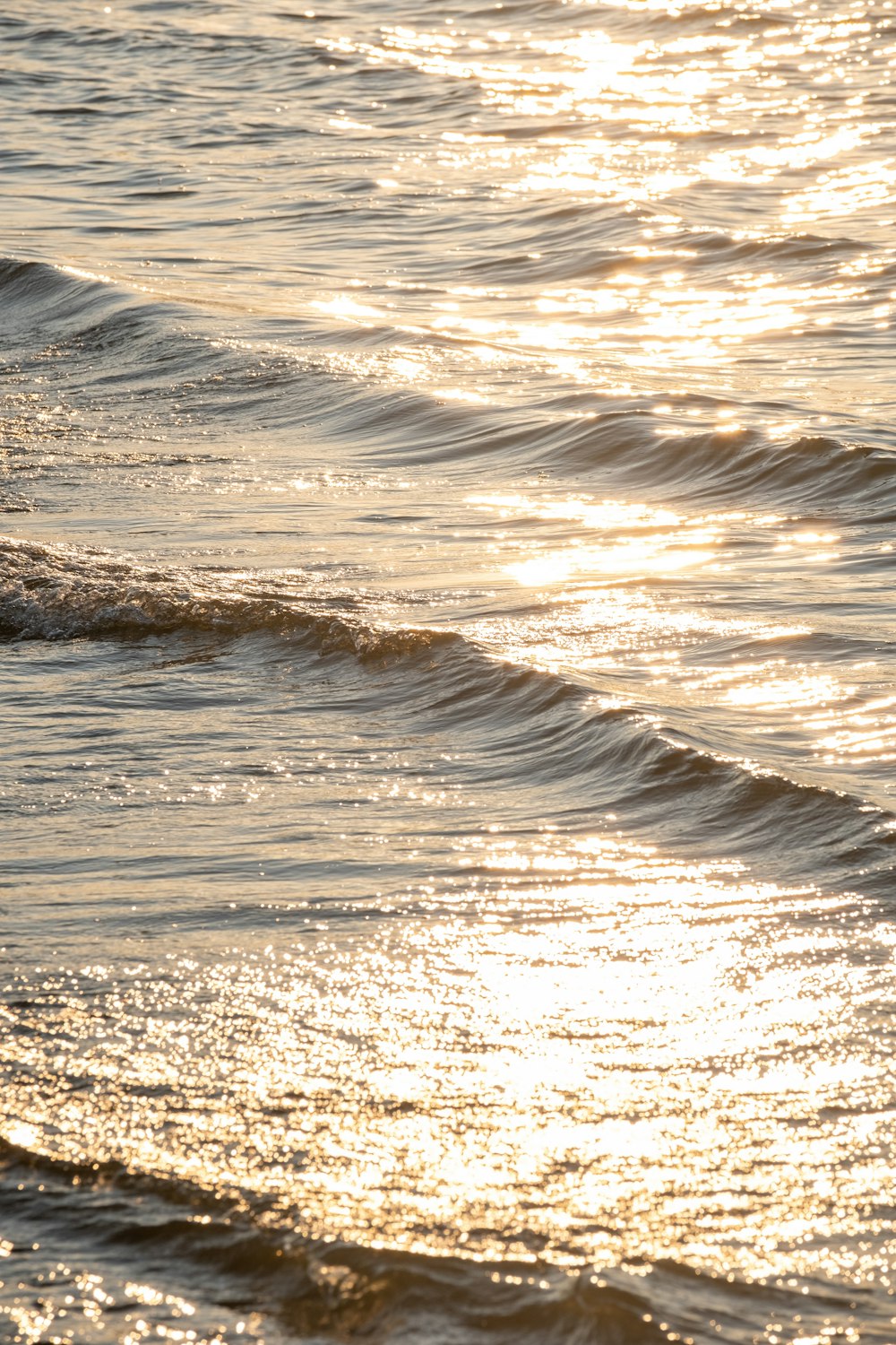 brown and white water waves