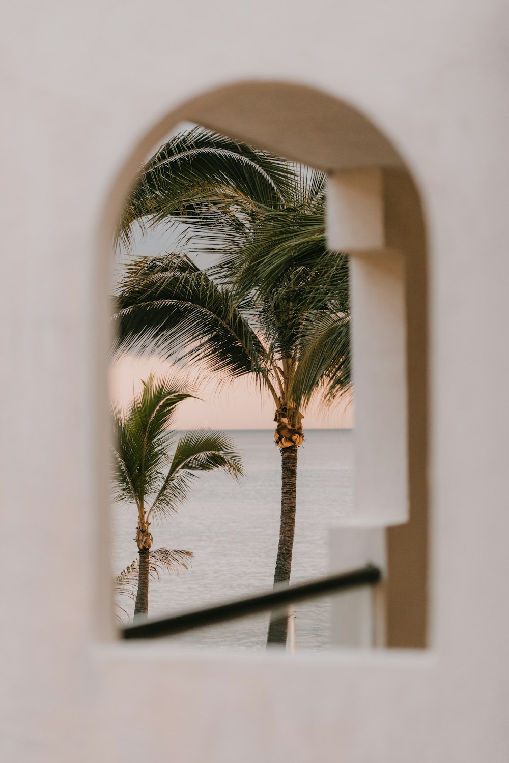 Palmera verde cerca de White Wall