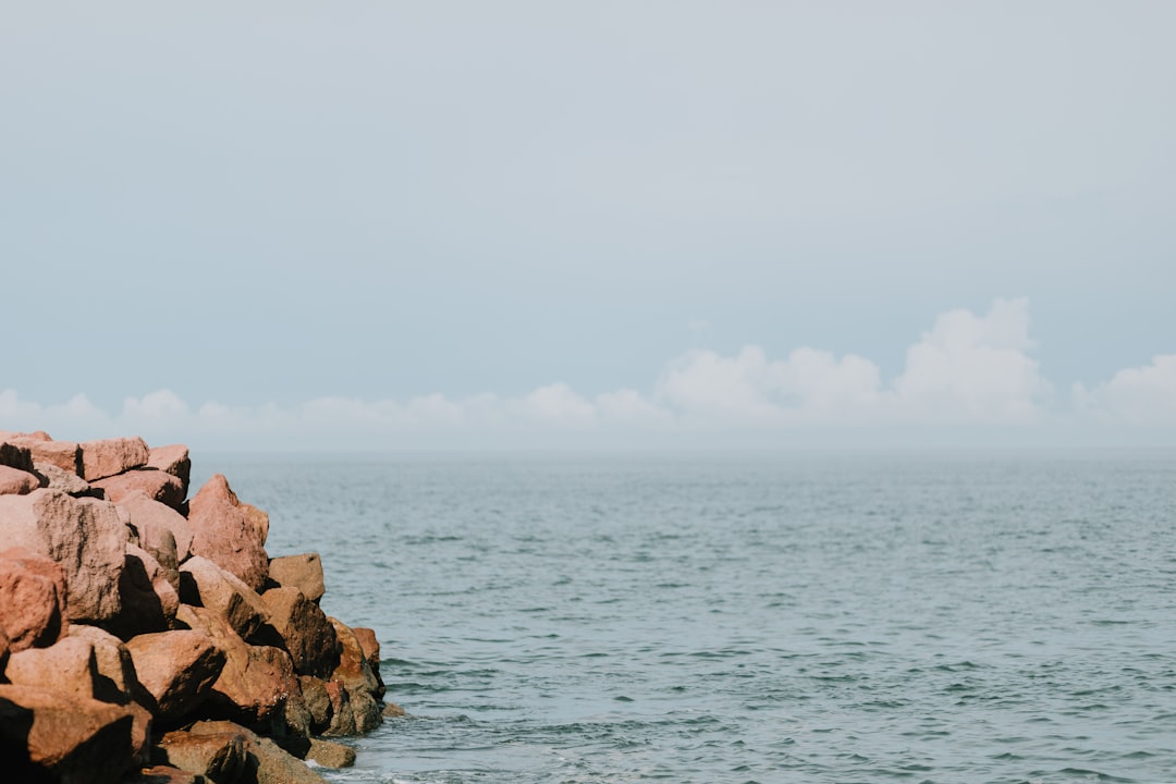 brown rocky shore during daytime