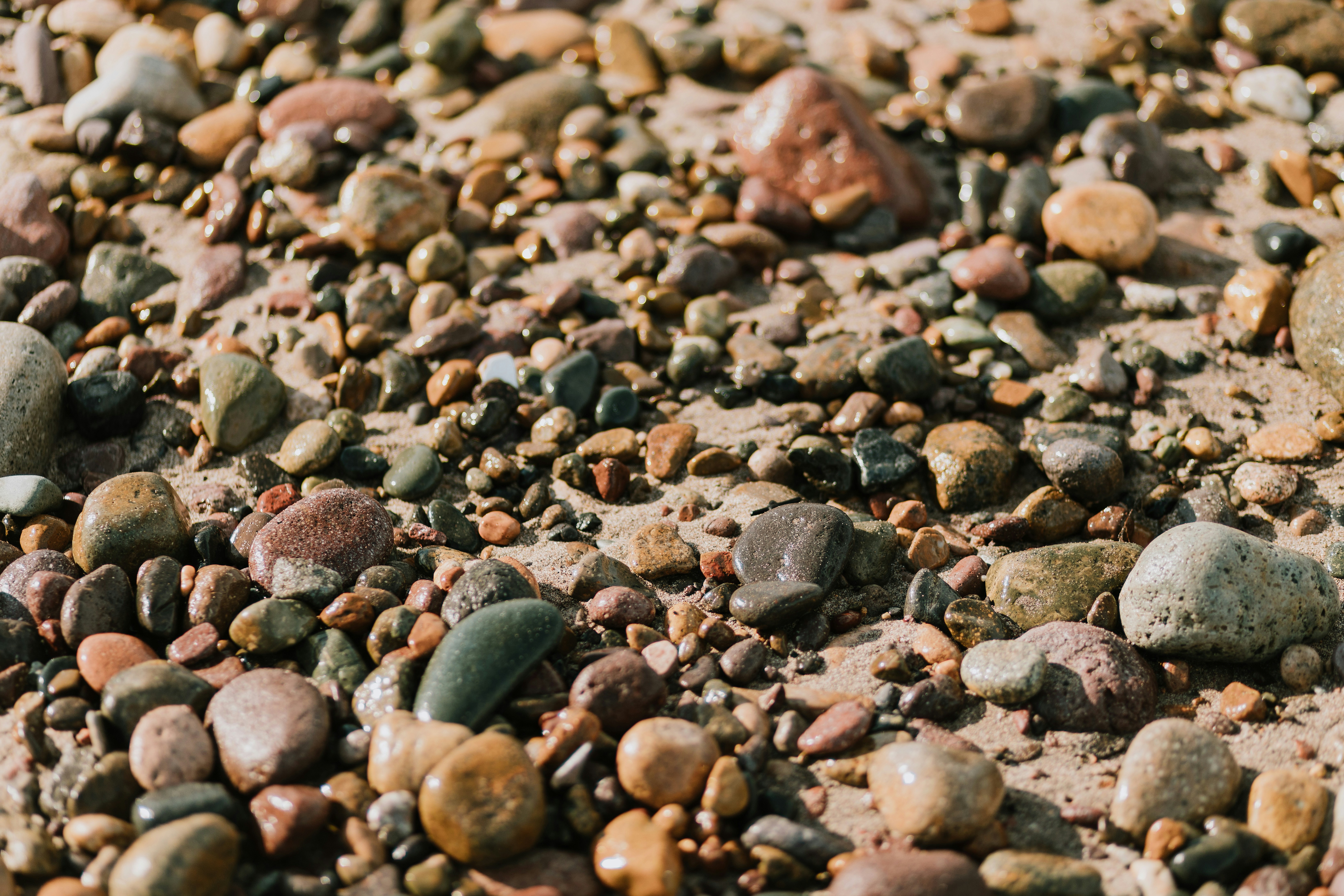 Photo by miguelheezg