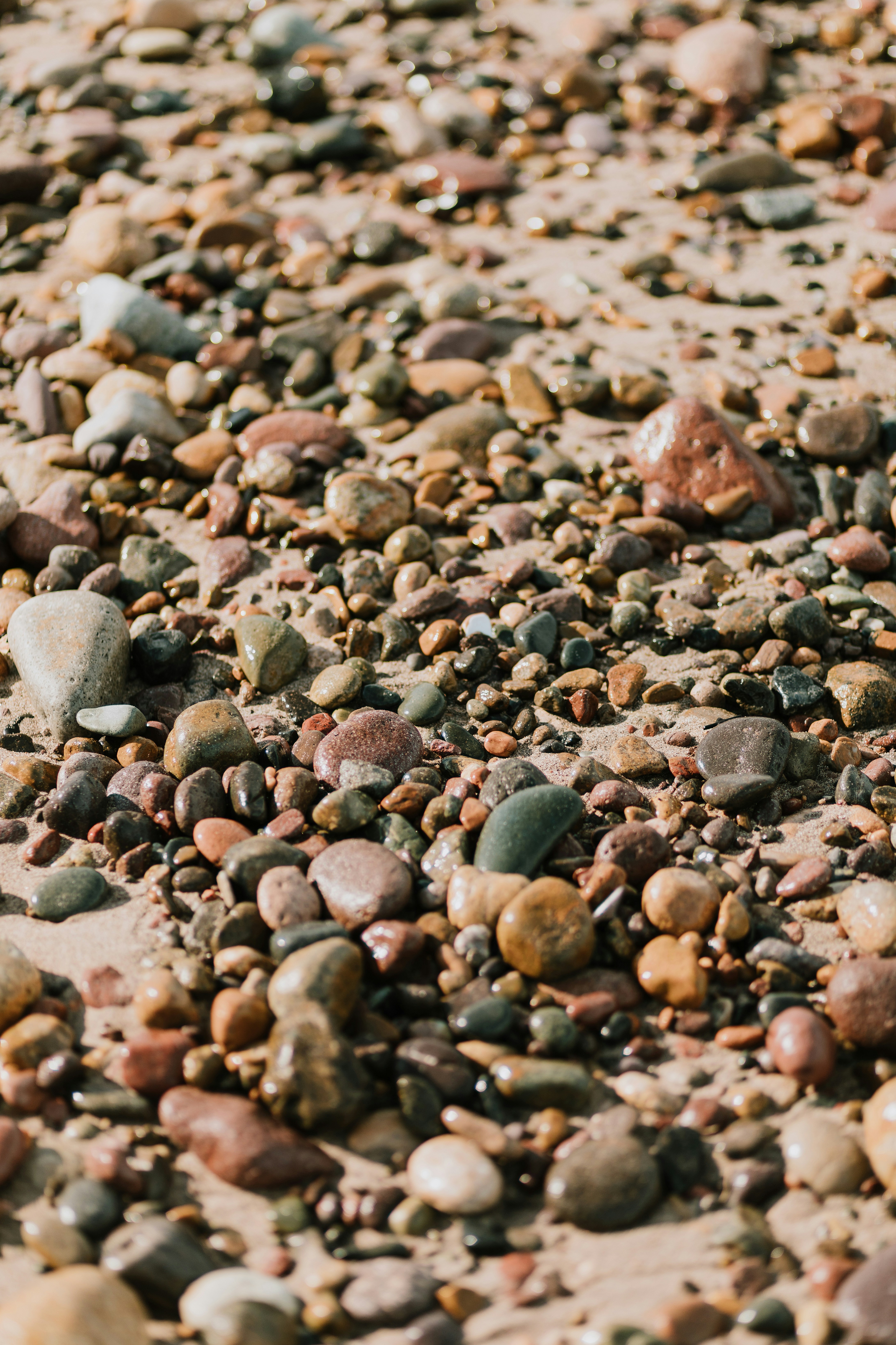 Photo by miguelheezg