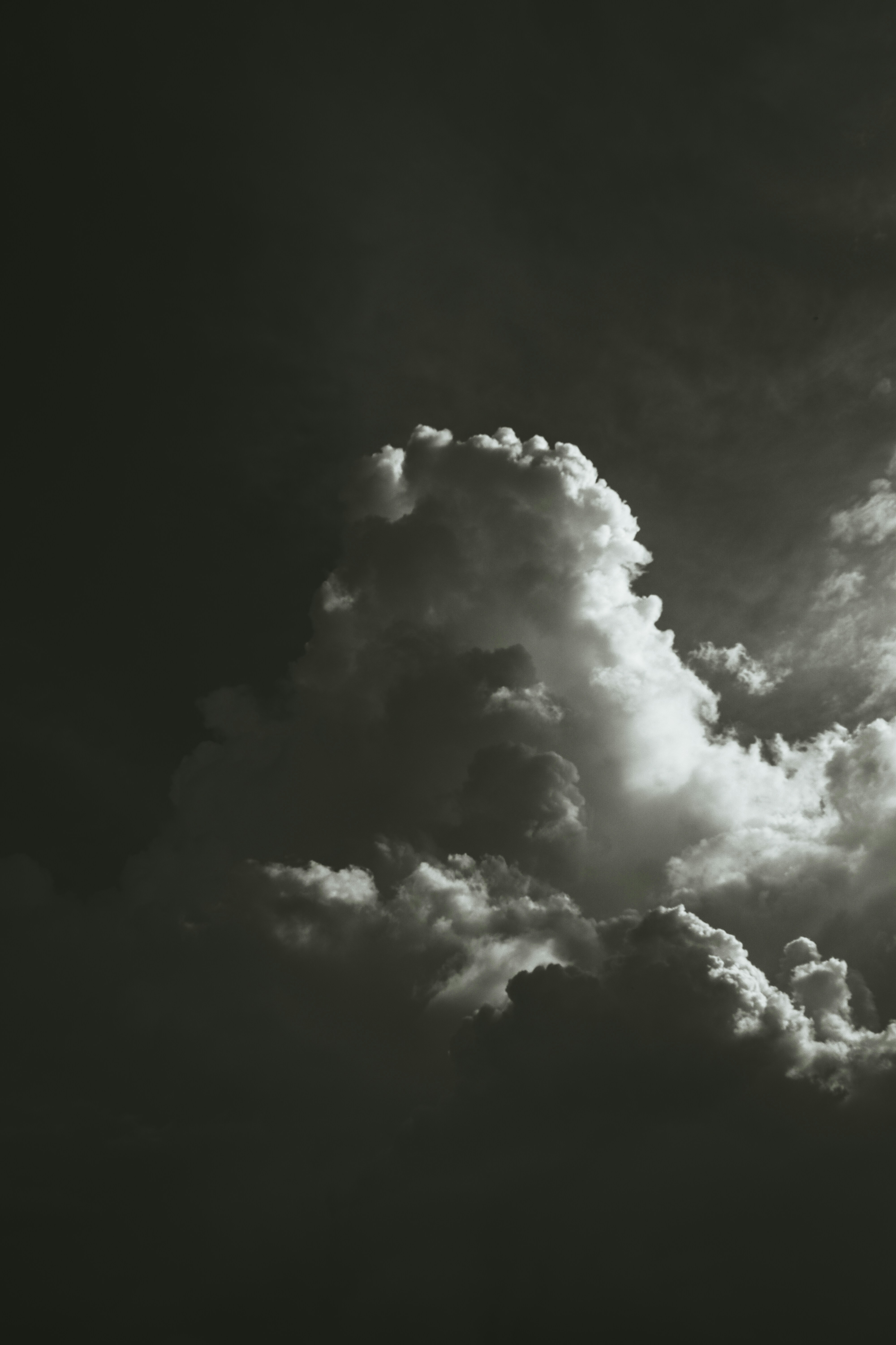 photo-1630086629848-9a8832b0765c?ixid=M3wxMjA3fDB8MXxzZWFyY2h8MjB8fGhpZ2hzdGFrZXMlMjBzd2VlcHN8ZW58MHx8fHwxNzUyMjk1MTA1fDA\u0026ixlib=rb-4.1.0